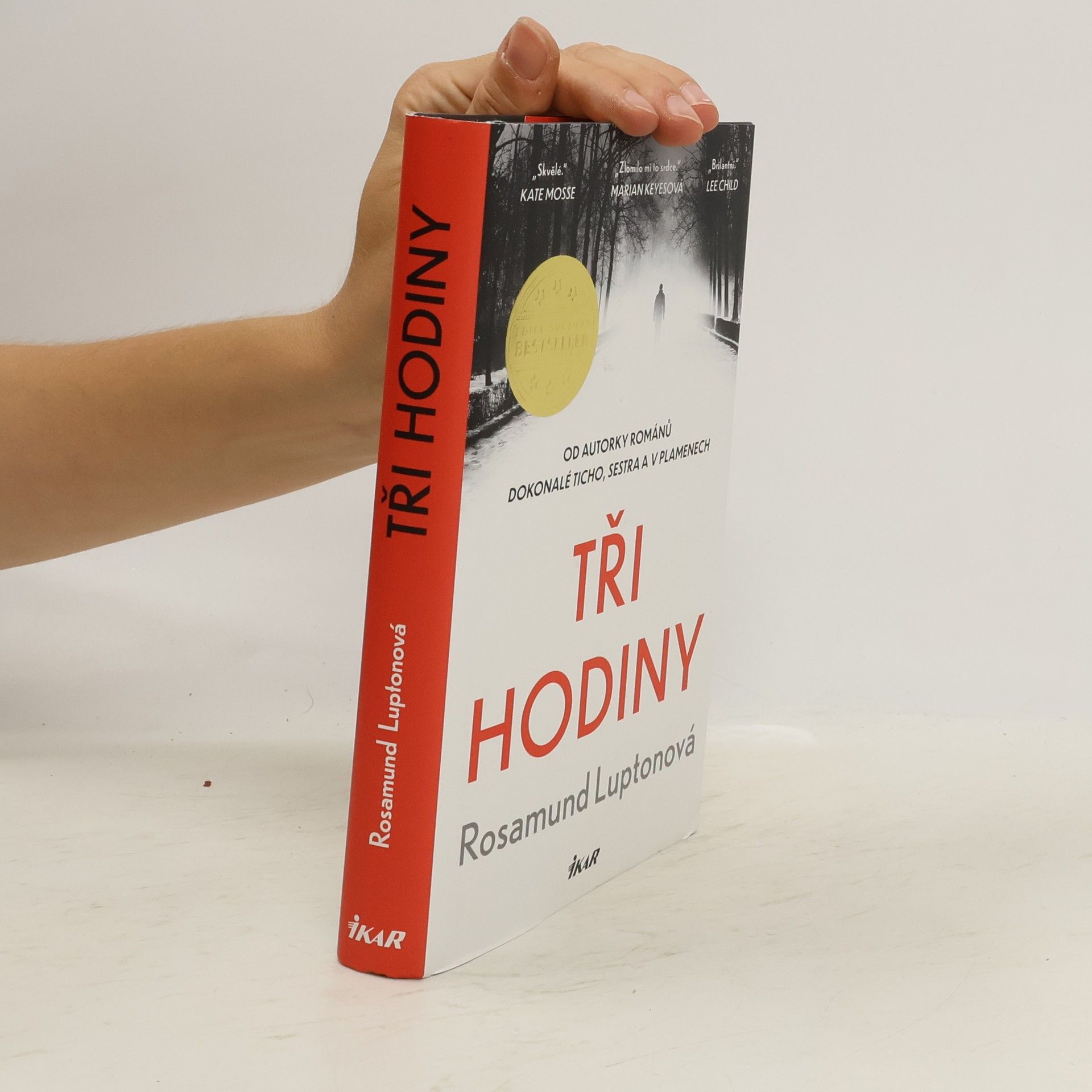 Rosamund Lupton Tři hodiny