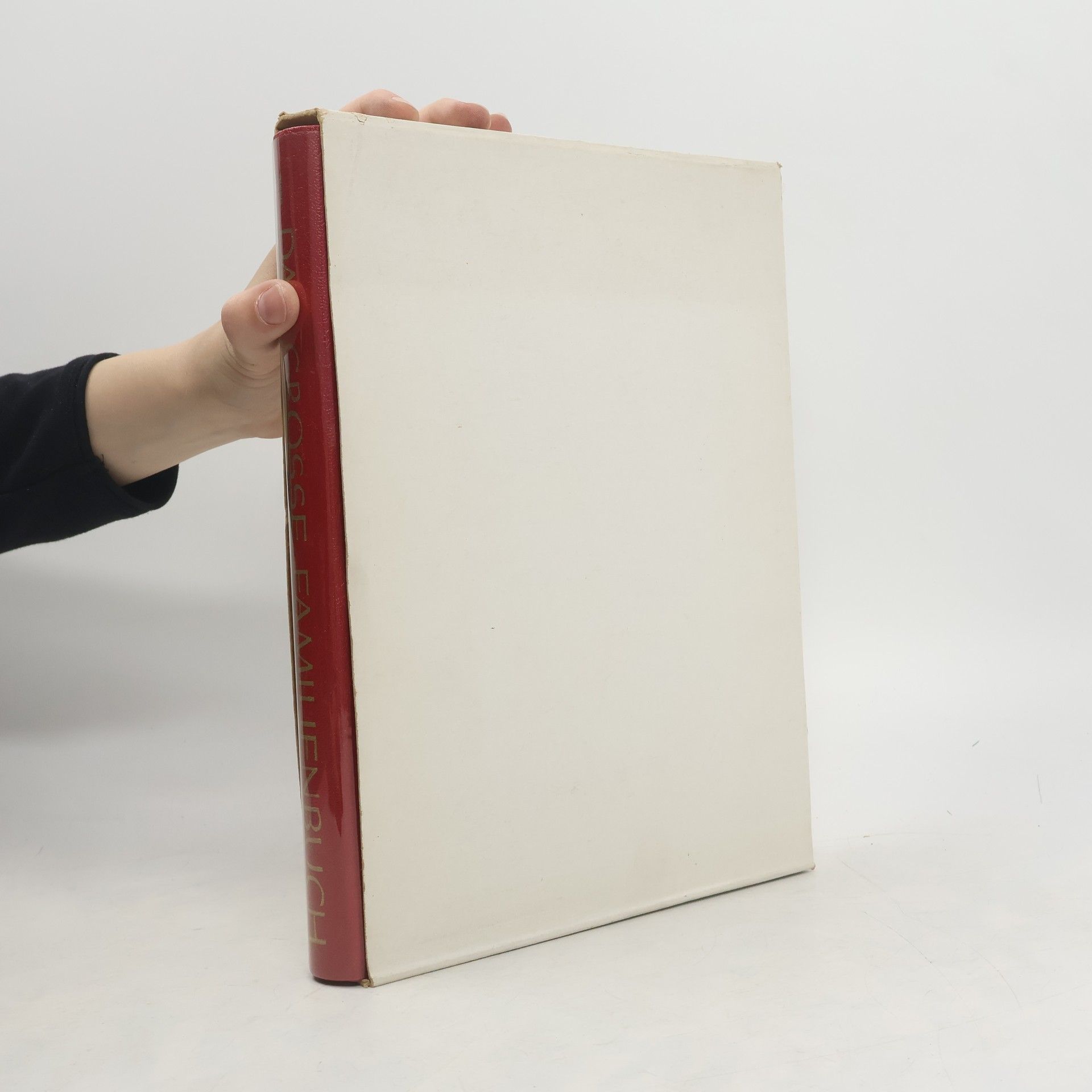 Collectif d'auteurs Das grosse Familienbuch