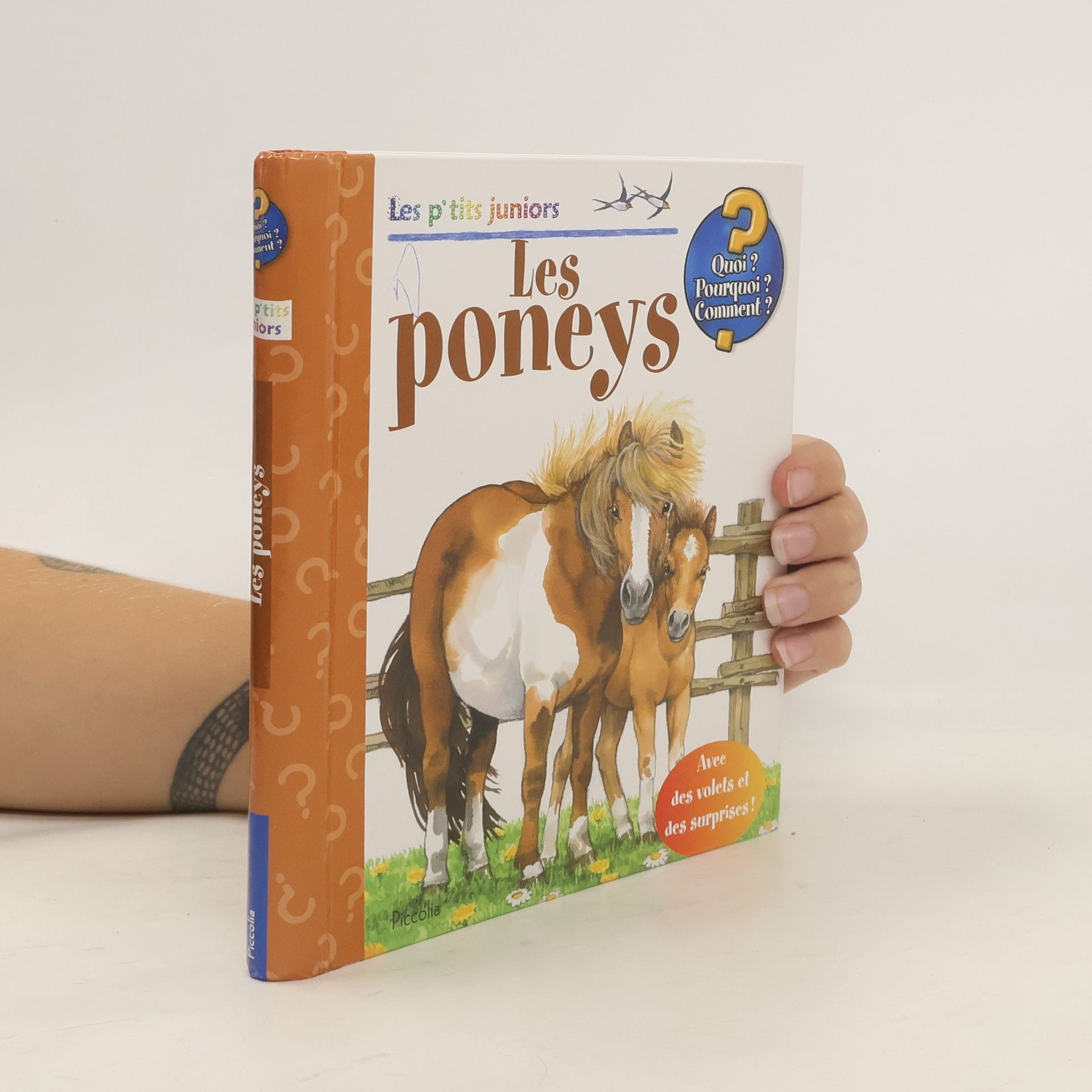 Thea Ross Les poneys