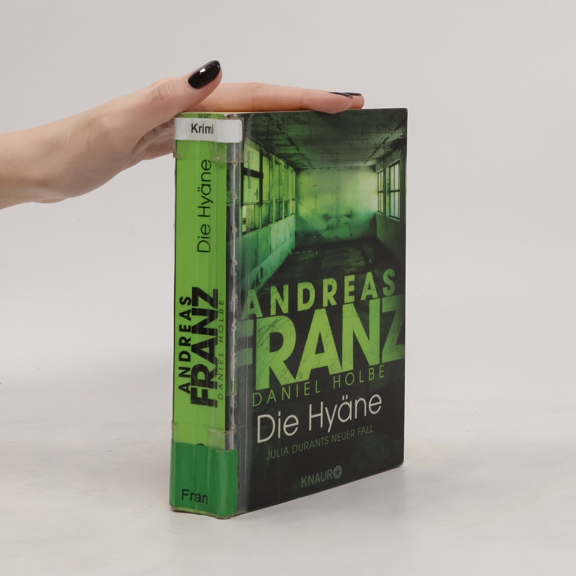 Andreas Franz Die Hyäne