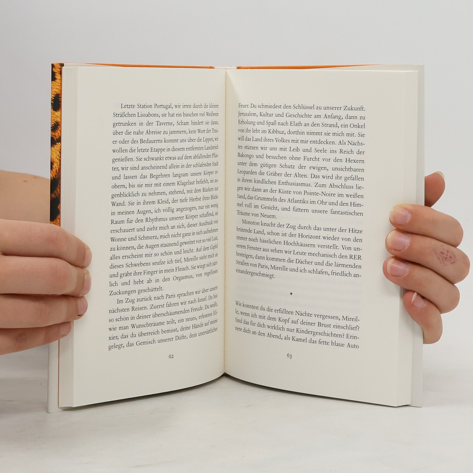 Wilfried N. Sonde Das Herz der Leopardenkinder