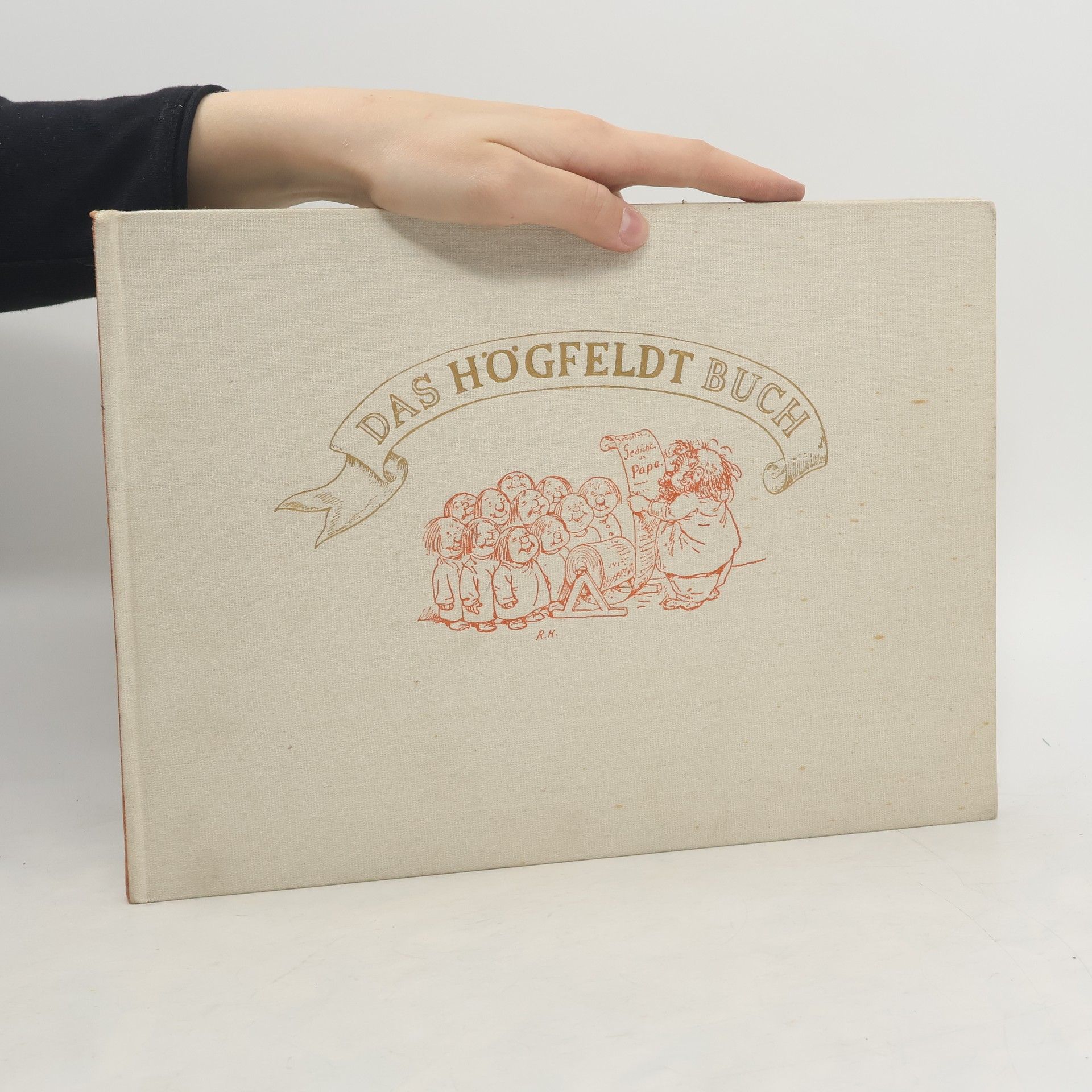 Autorenkollektiv Das Högfeldt-Buch