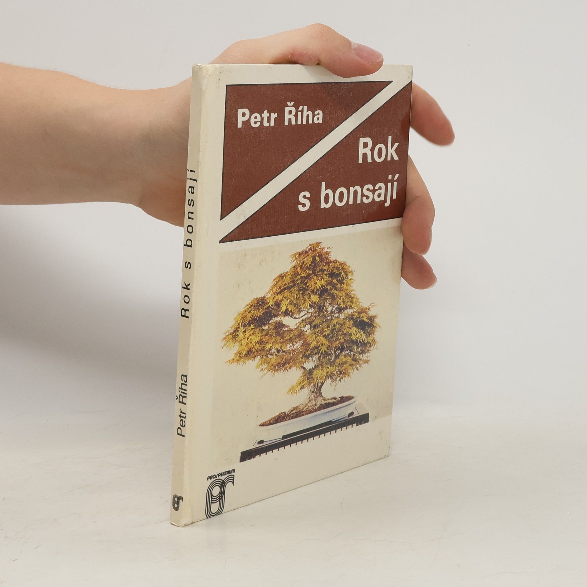 Petr Říha Rok s bonsají