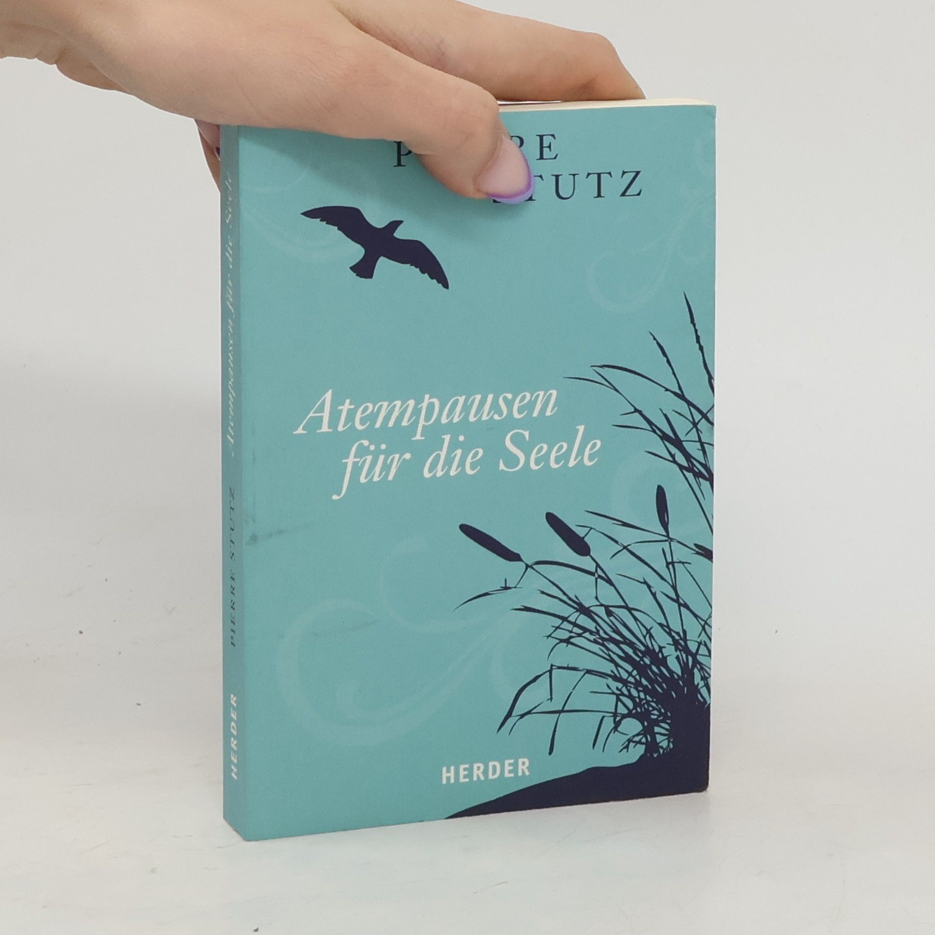 Pierre Stutz Atempausen für die Seele