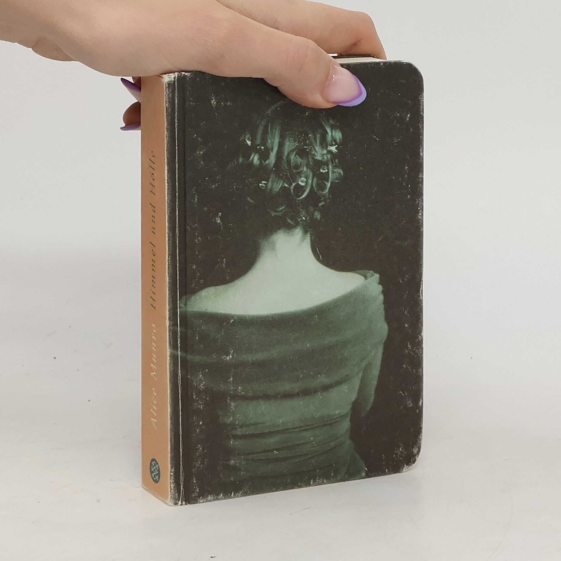 Alice Munro Himmel und Hölle