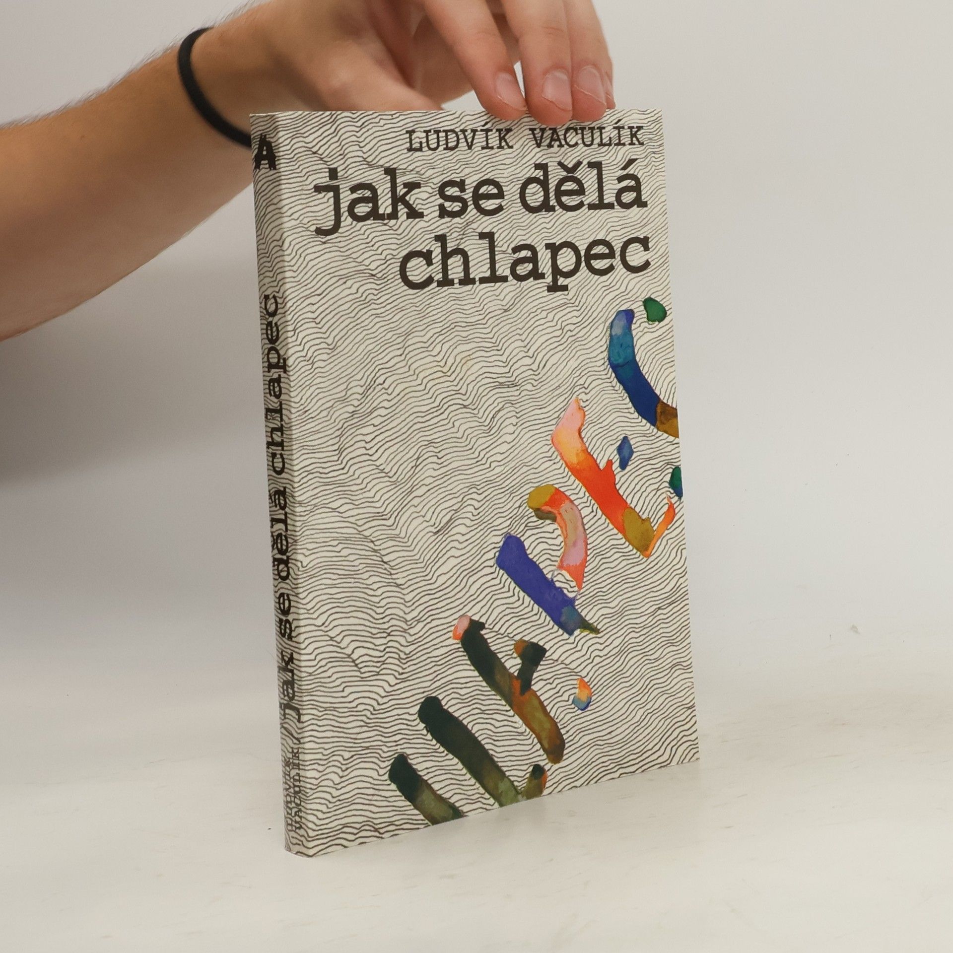 Ludvík Vaculík Jak se dělá chlapec