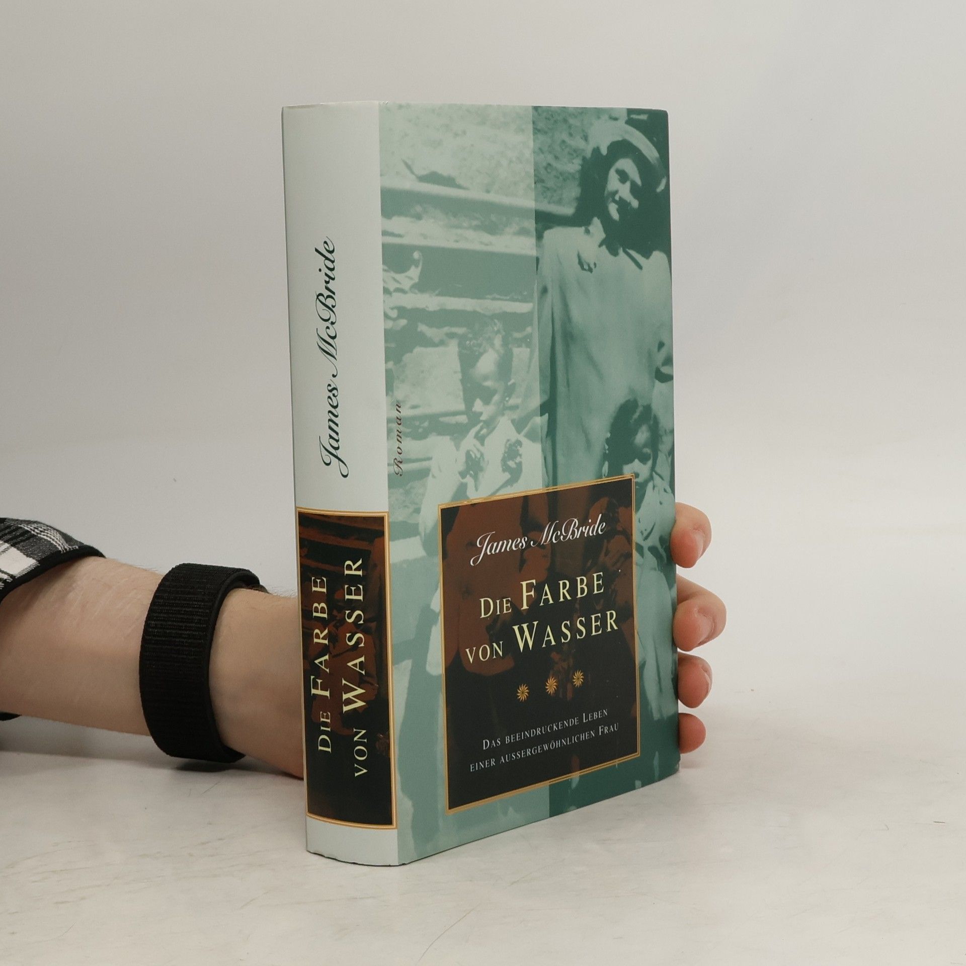 James McBride Die Farbe von Wasser