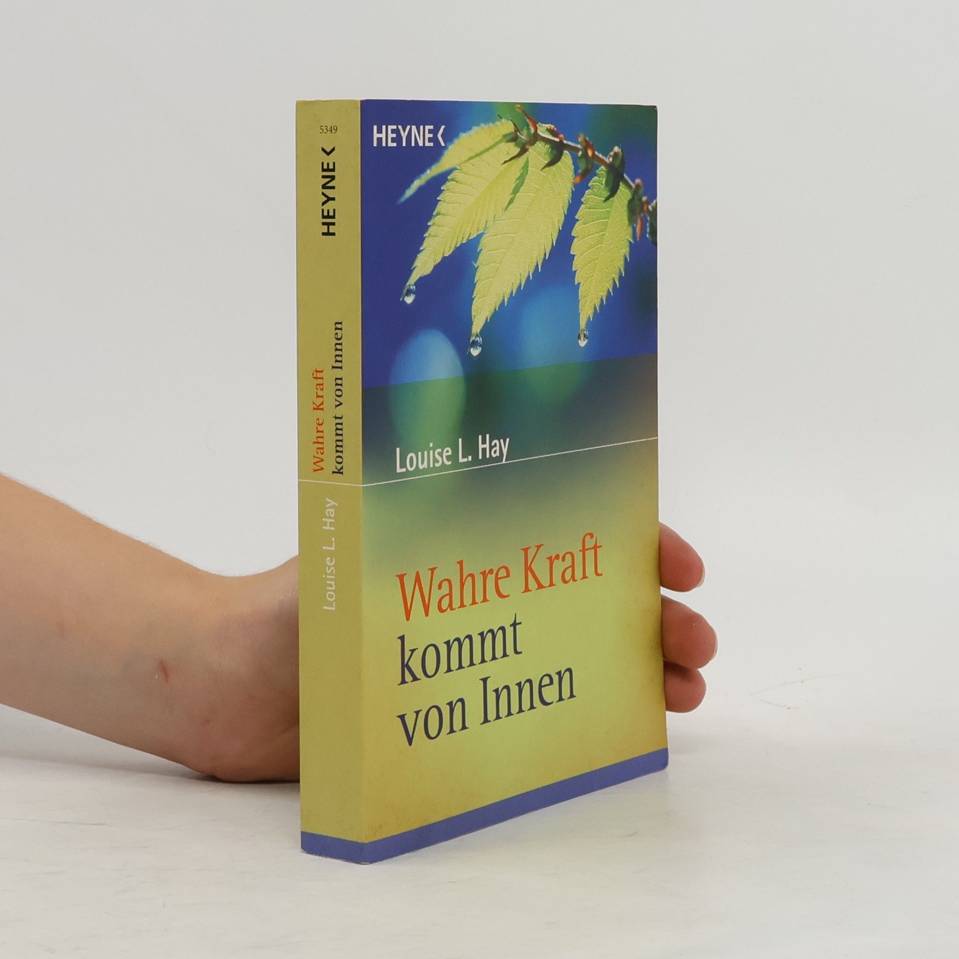 Louise Lynn Hay Wahre Kraft kommt von innen