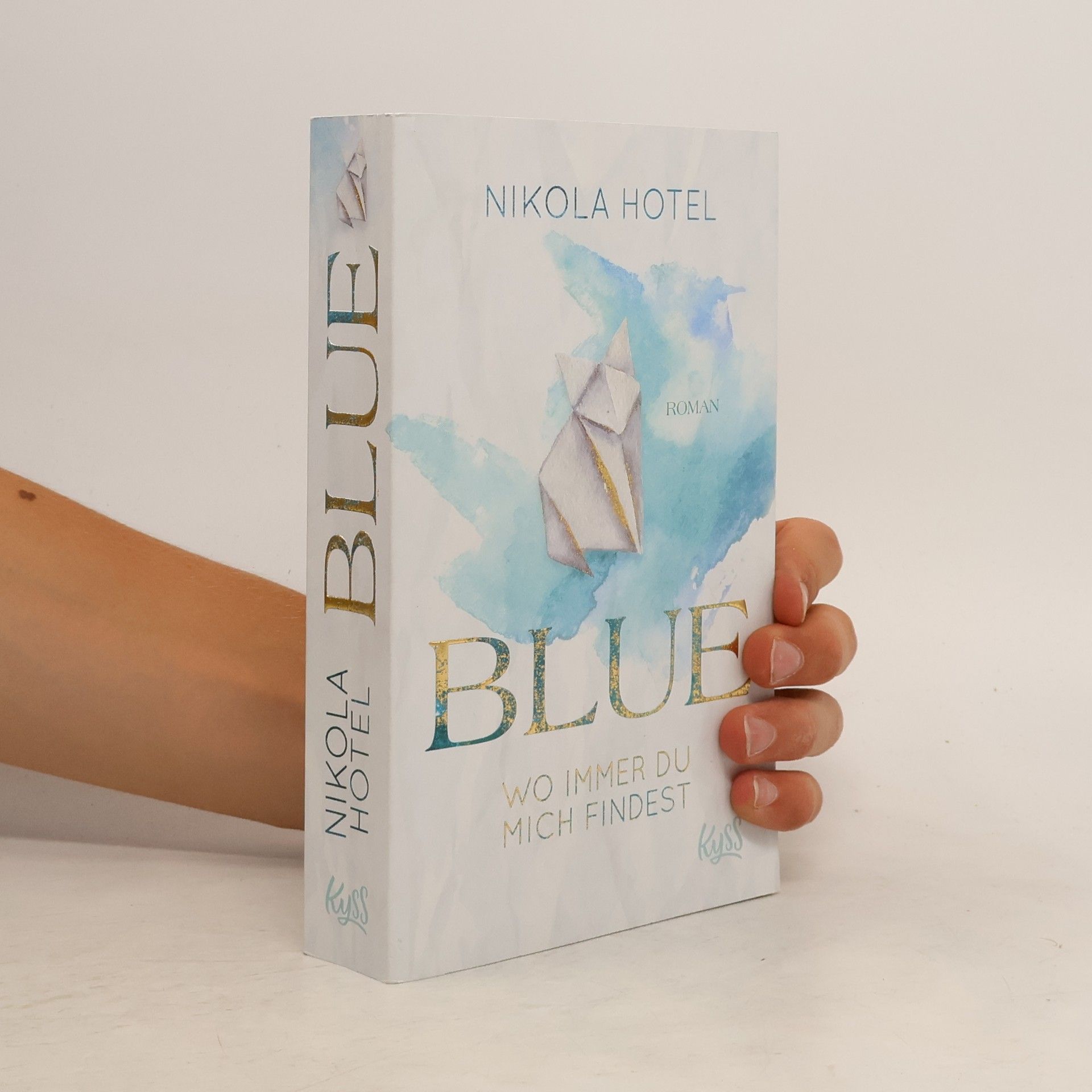 Nikola Hotel Blue. Wo immer du mich findest