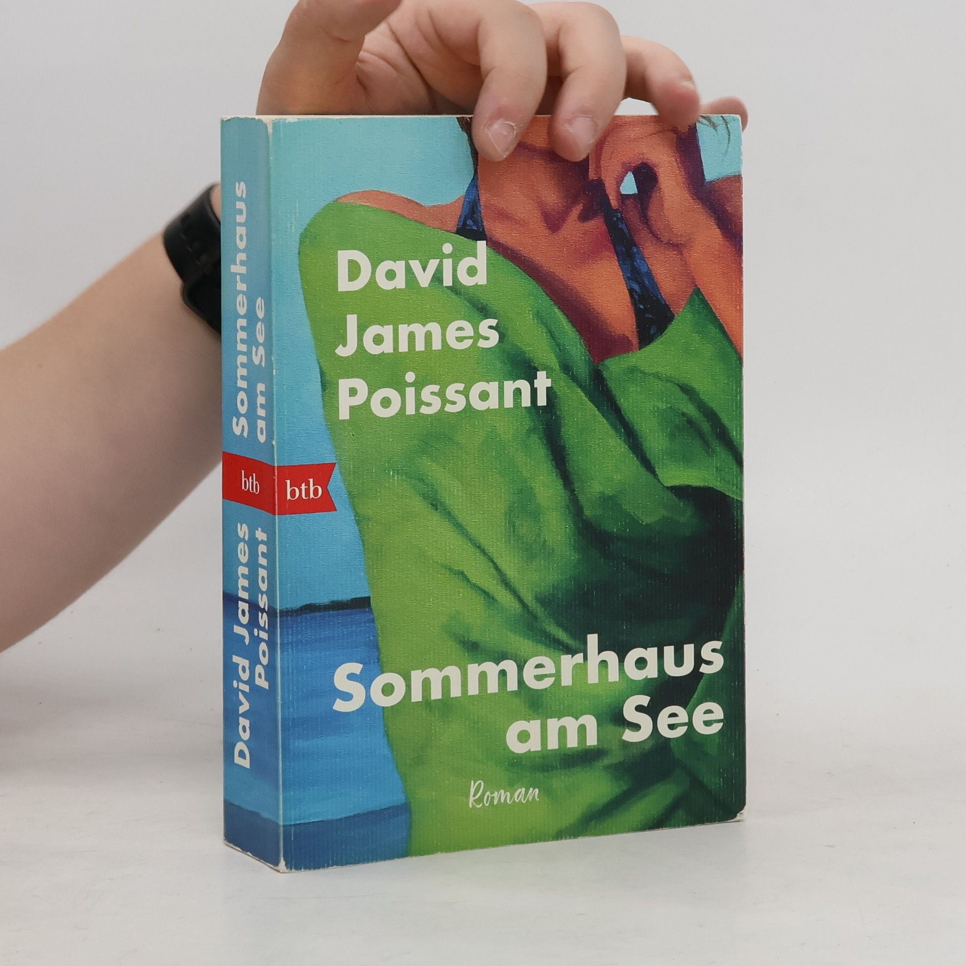 David James Poissant Sommerhaus am See