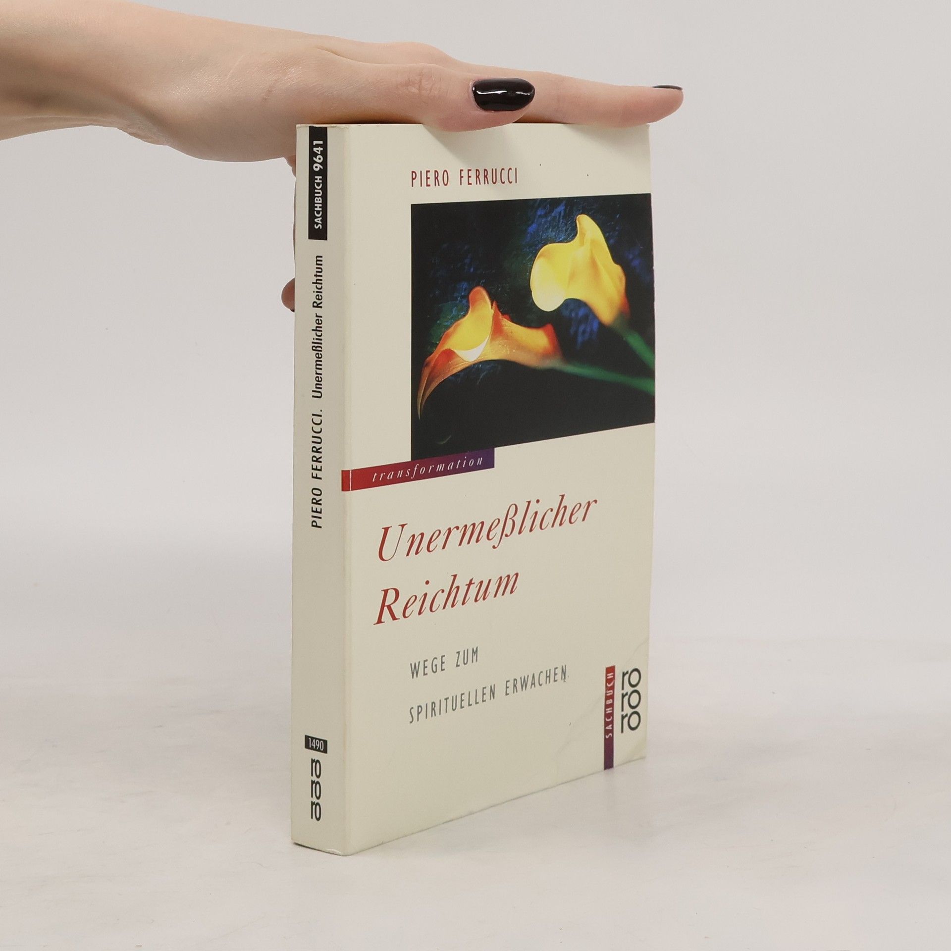 Piero Ferrucci Unermesslicher Reichtum