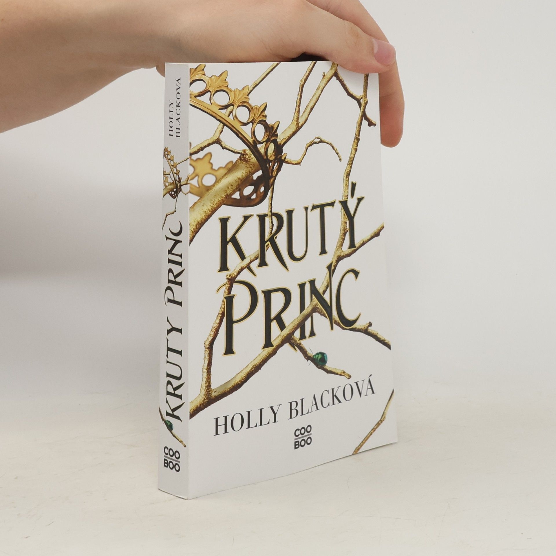 Holly Black Krutý princ