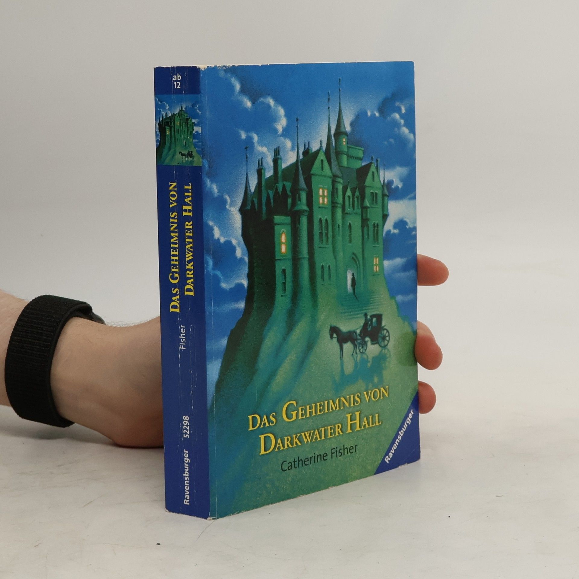 Catherine Fisher Das Geheimnis von Darkwater Hall