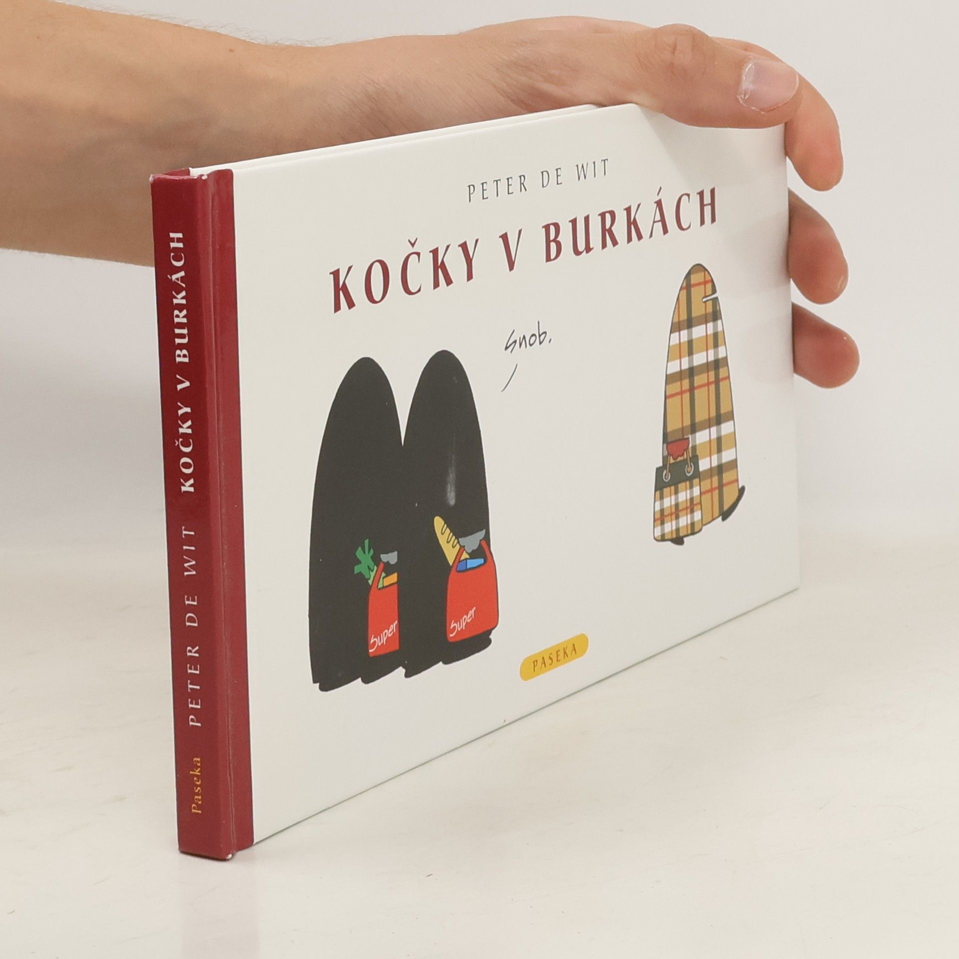 Peter de Wit Kočky v burkách