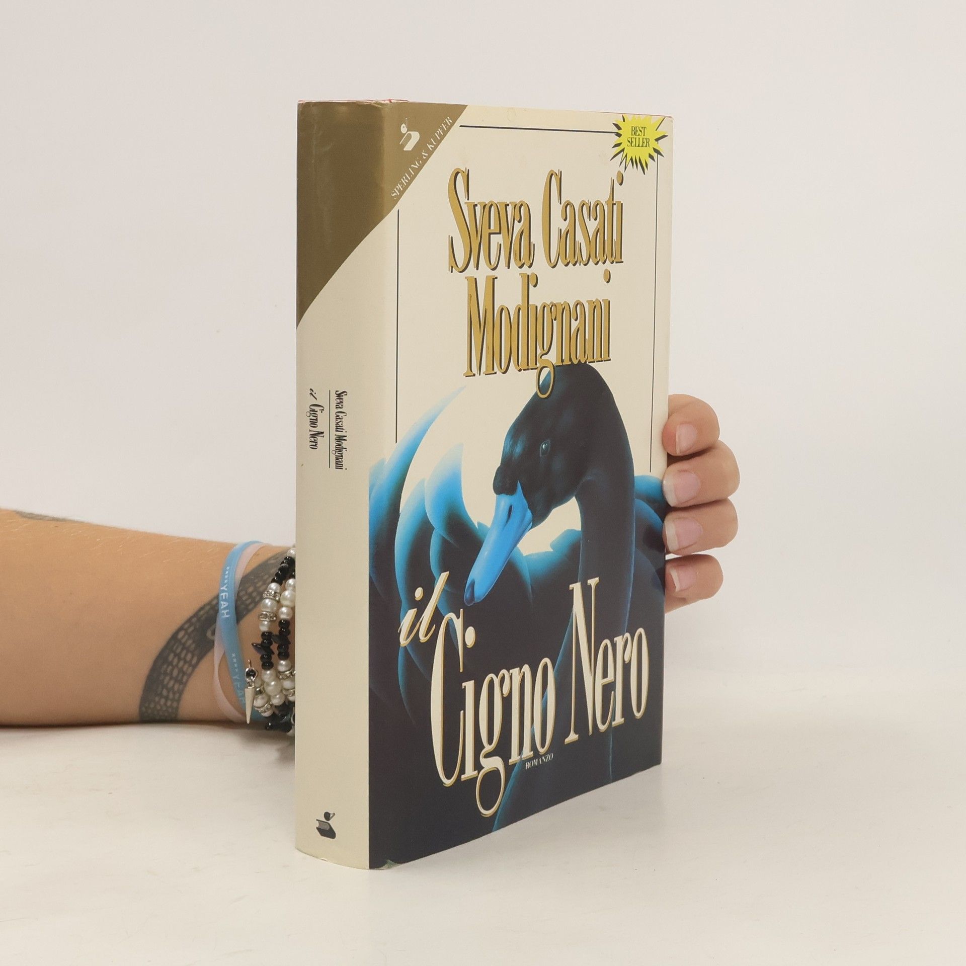 Sveva Casati Modignani Il cigno nero