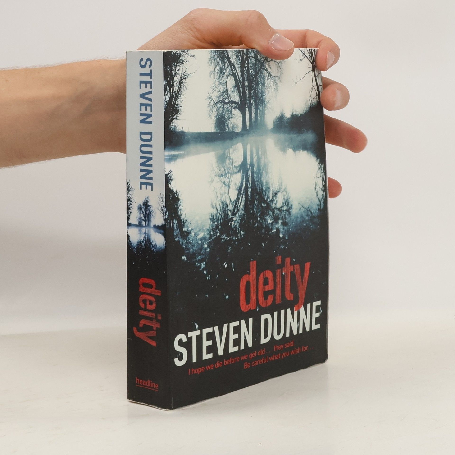Steven Dunne Deity (DI Damen Brook 3)