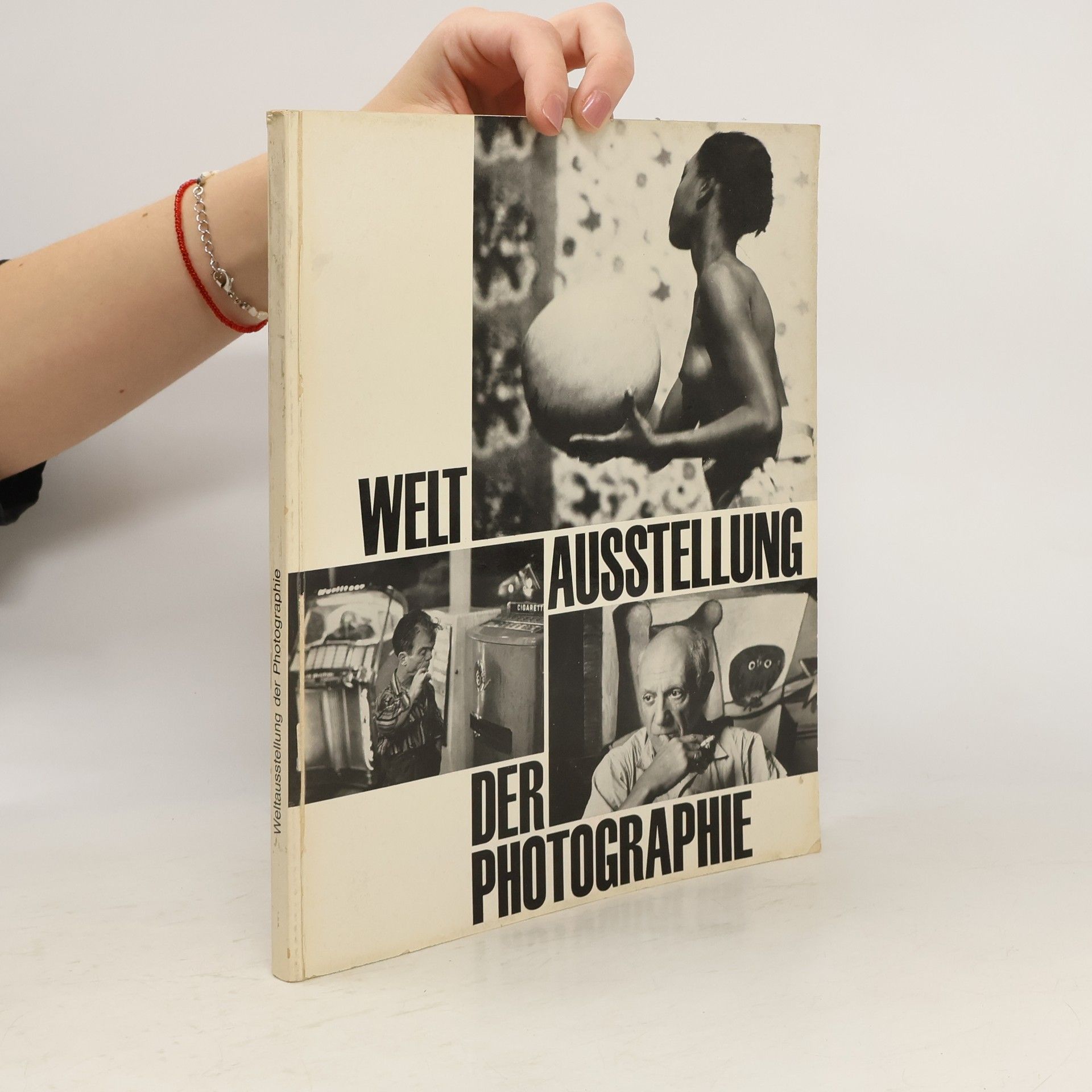 Kolektiv autorů Welt Ausstellung der Photographie