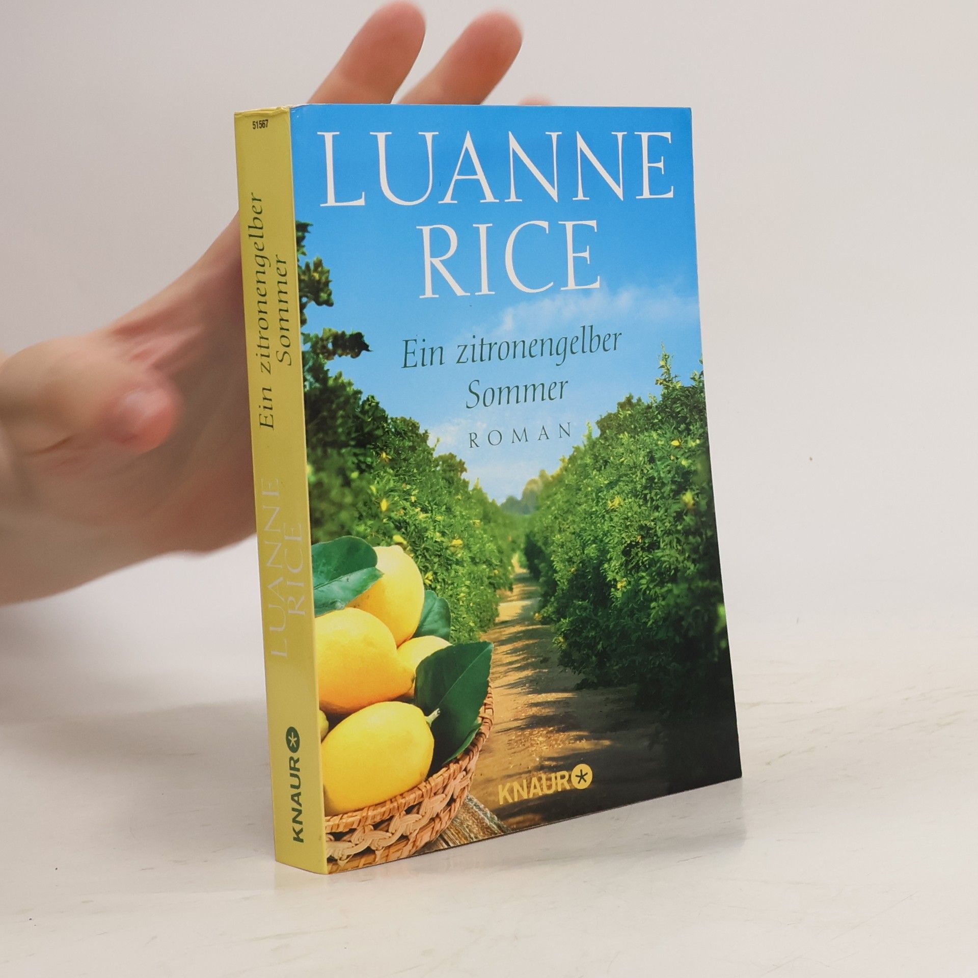 Luanne Rice Ein zitronengelber Sommer