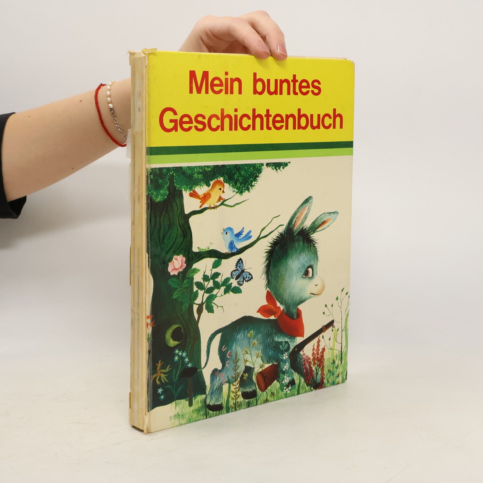 Gertrud Düll Mein buntes Geschichtenbuch