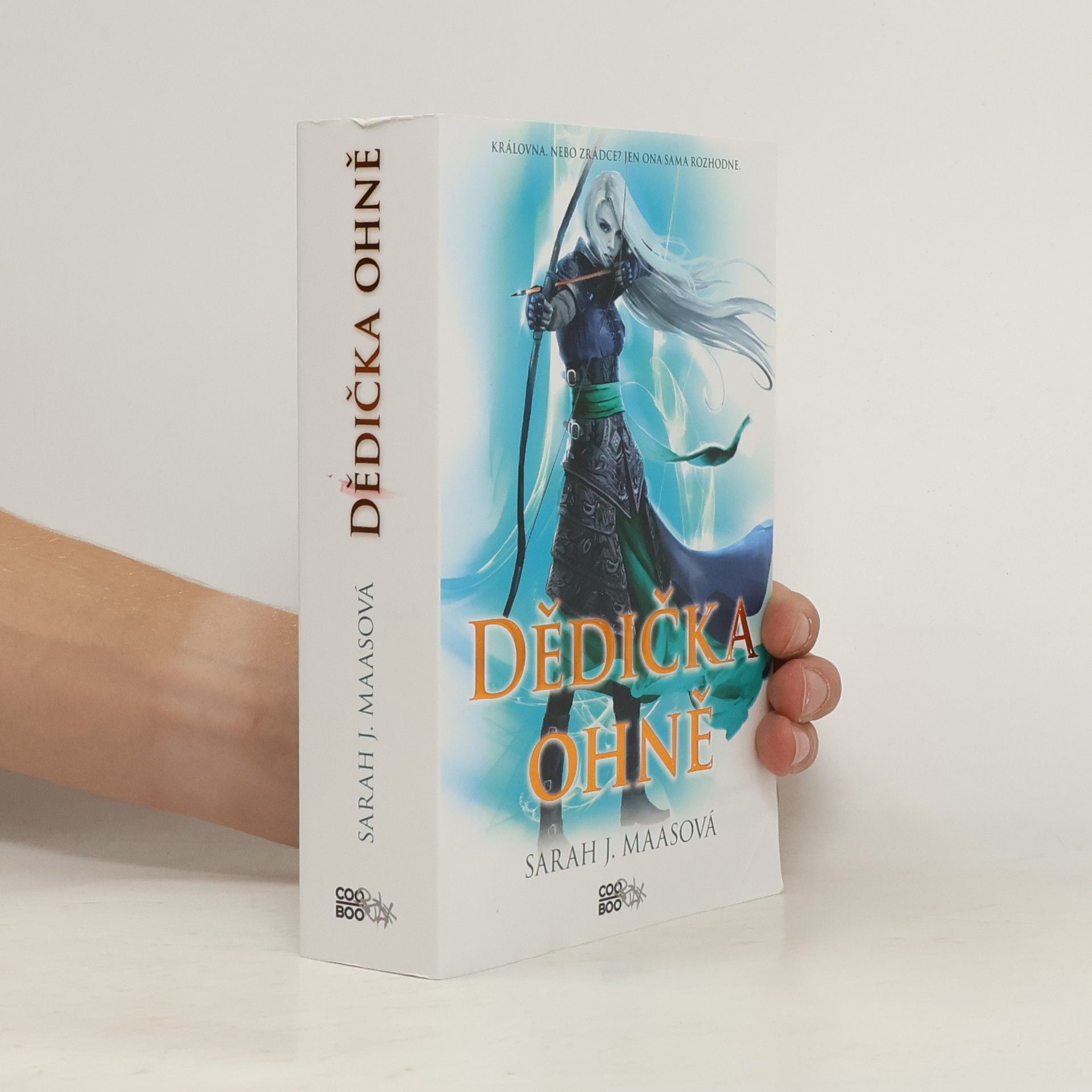 Sarah J. Maas Dědička ohně