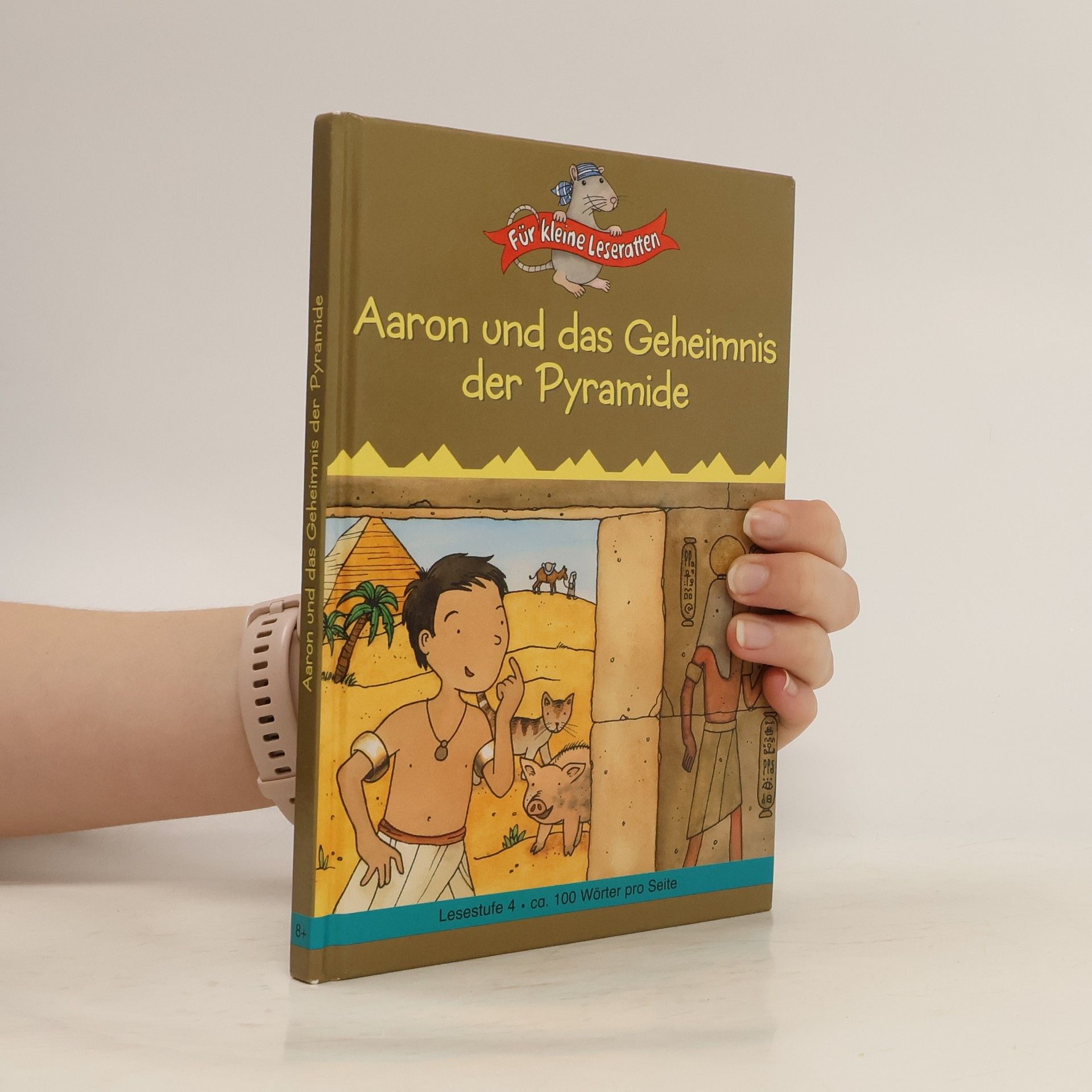 Hans Bär Aaron und das Geheimnis der Pyramide