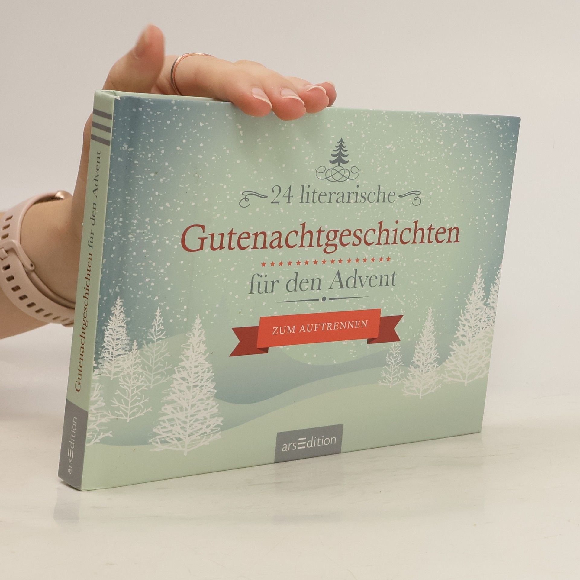 Autores varios 24 literarische Gutenachtgeschichten für den Advent