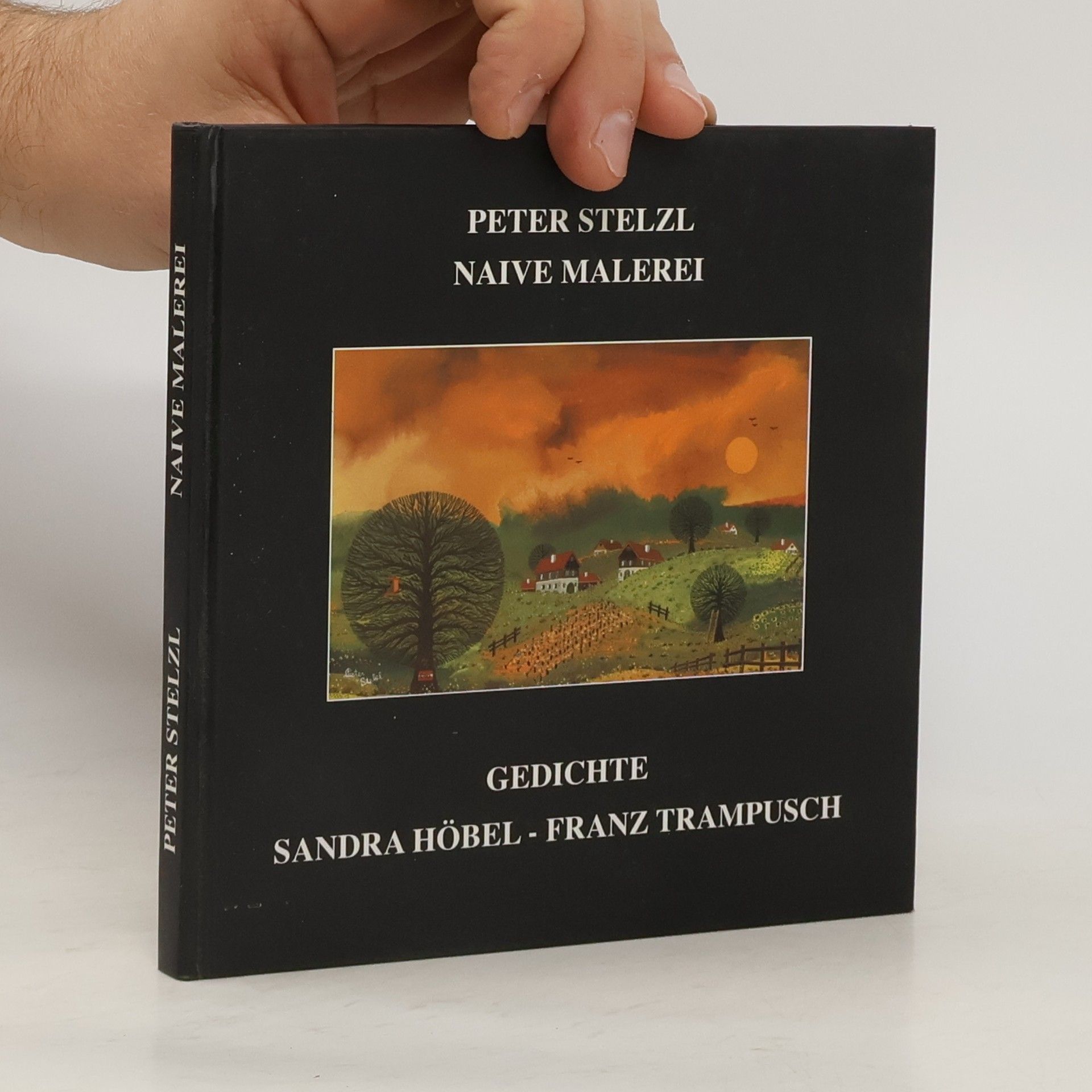 Peter Stelzl Naive Malerei