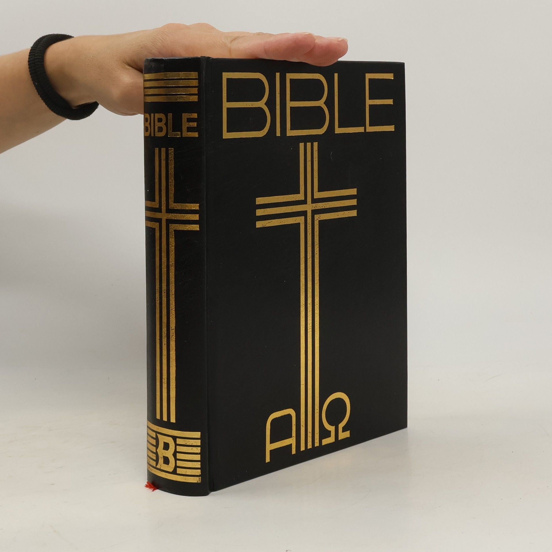 Autores varios Bible