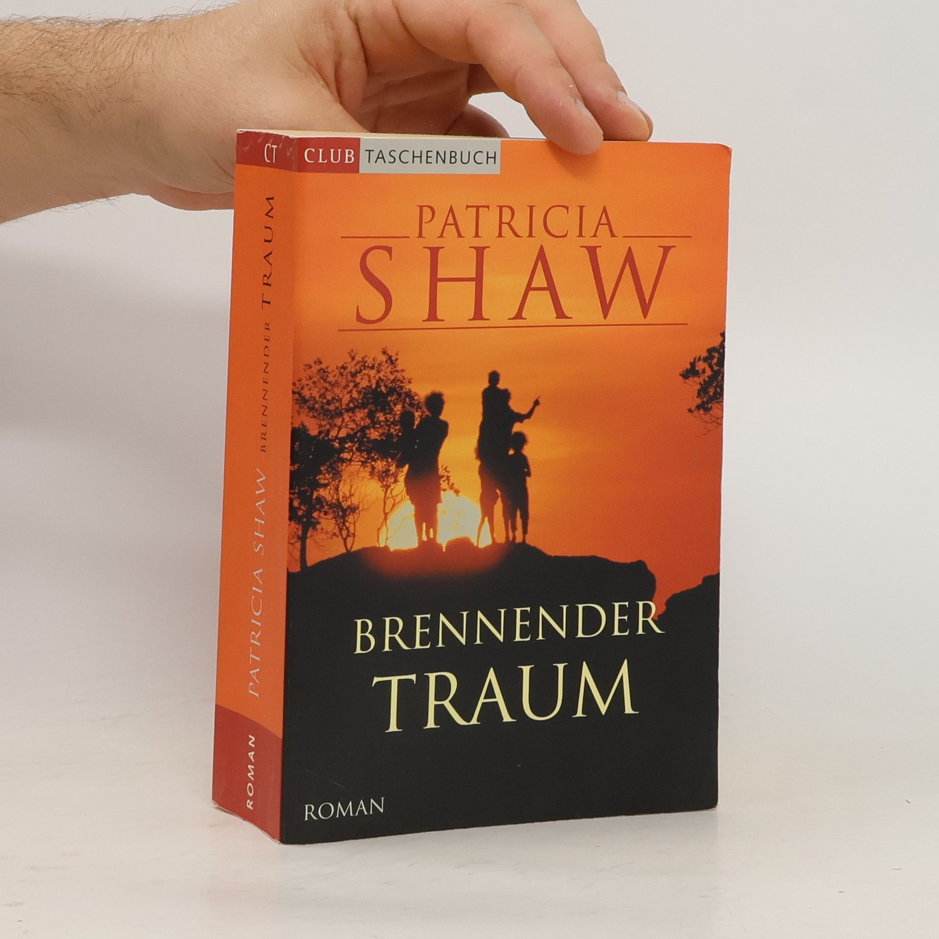 Patricia Shaw Brennender Traum