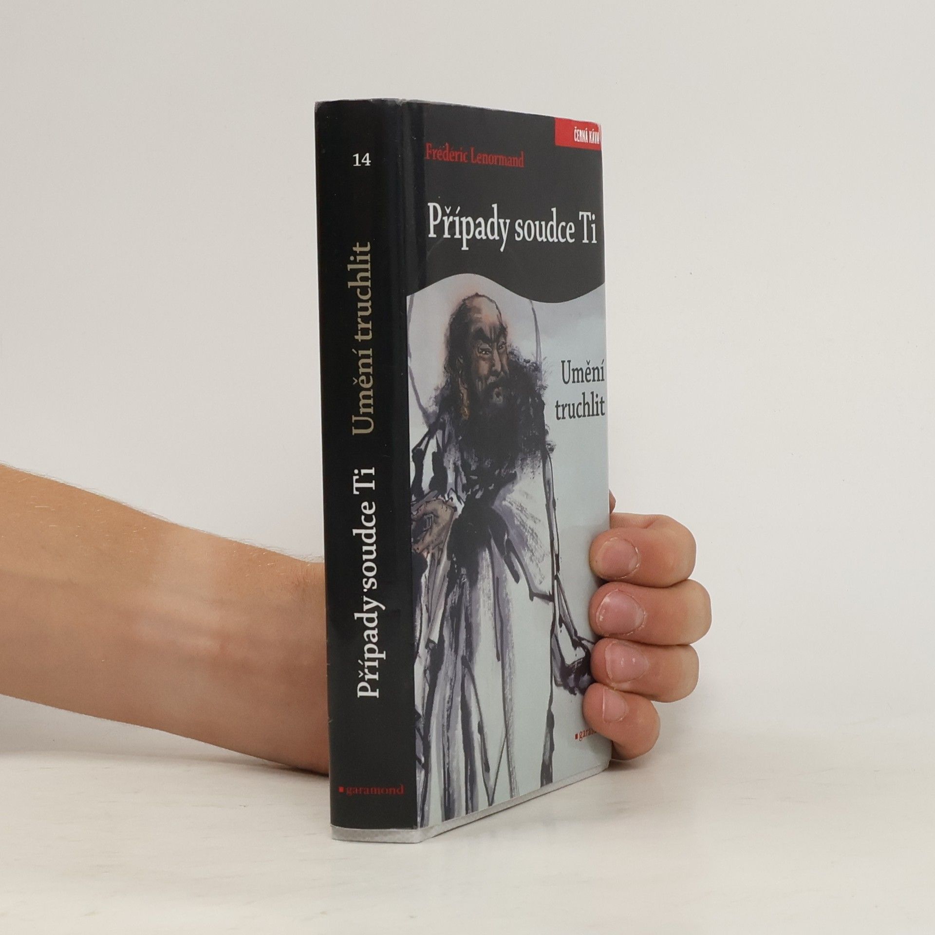 Frédéric Lenormand Případy soudce Ti. Umění truchlit