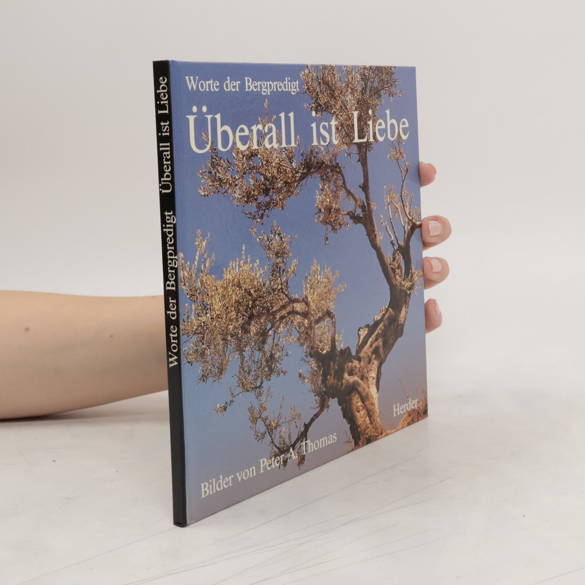 Worte der Bergpredigt Überall ist Liebe
