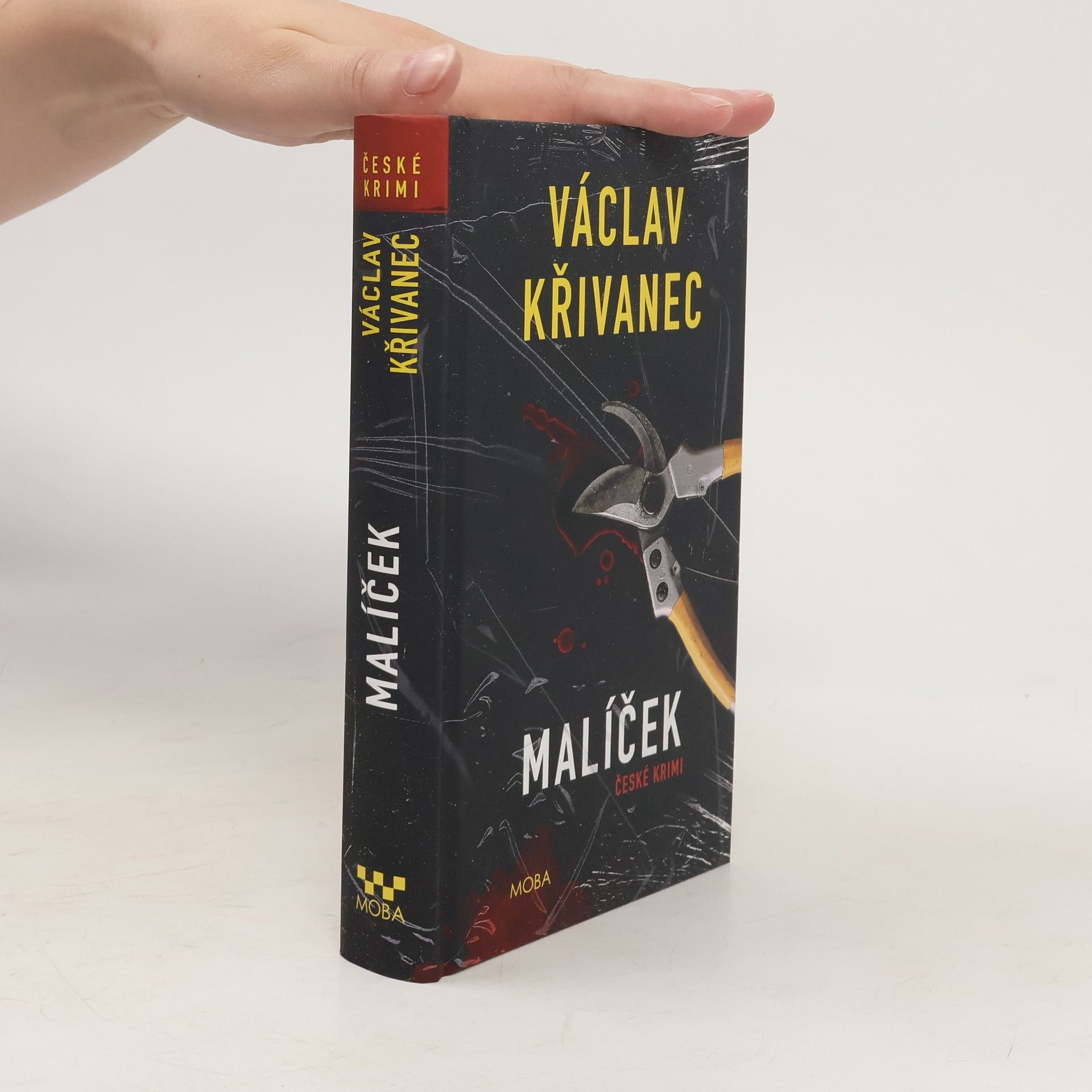 Václav Křivanec Malíček