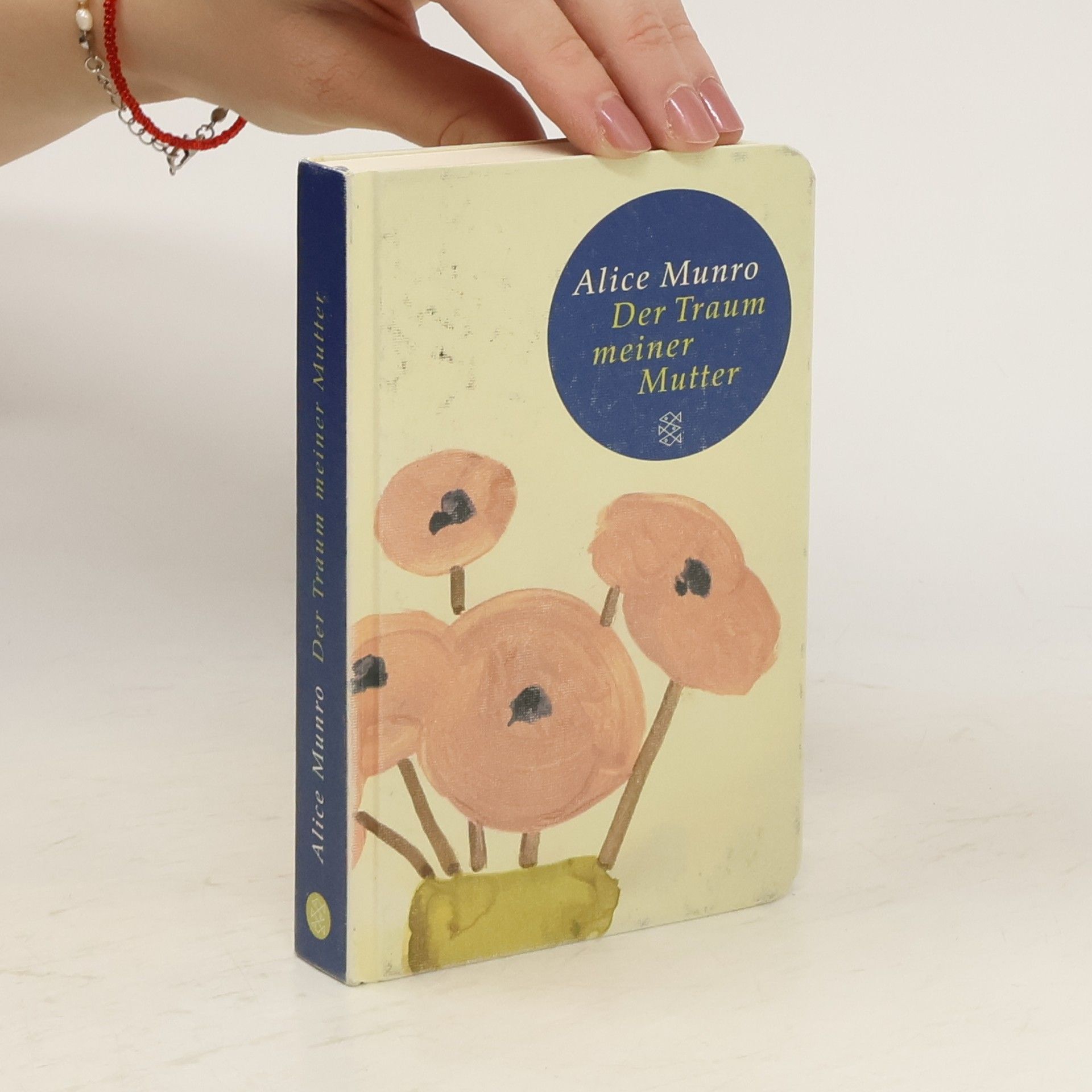 Alice Munro Der Traum meiner Mutter