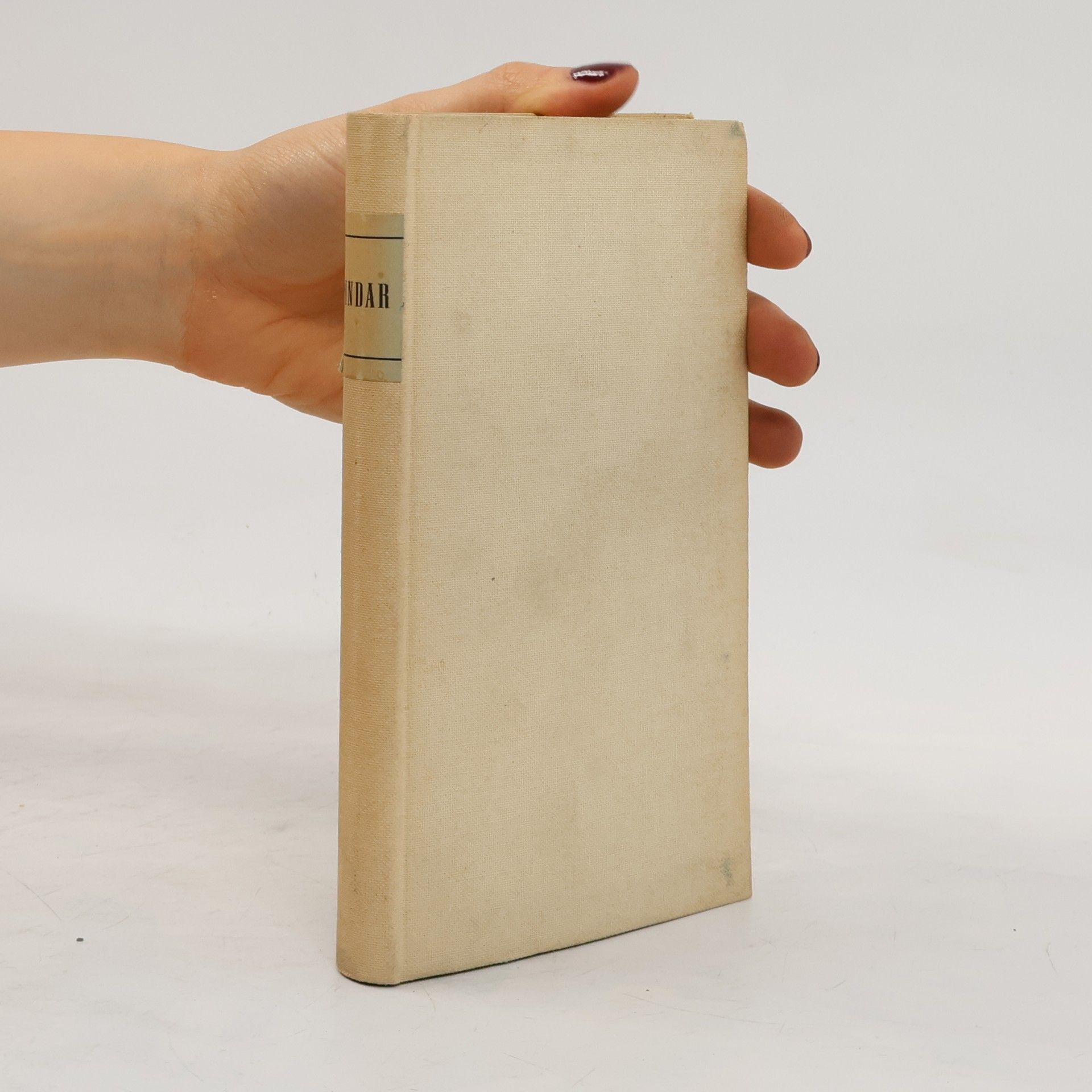 Ludwig Wolde Pindar. Die Dichtungen und Fragmente
