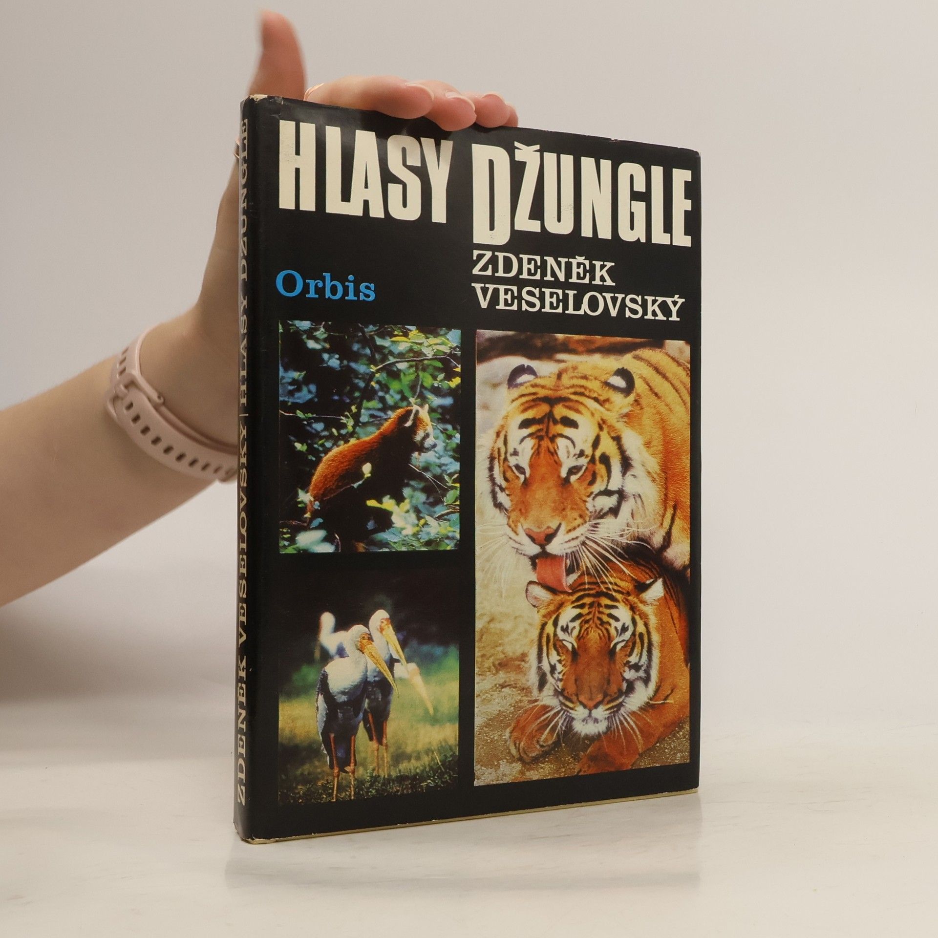 Alena Čepická Hlasy džungle