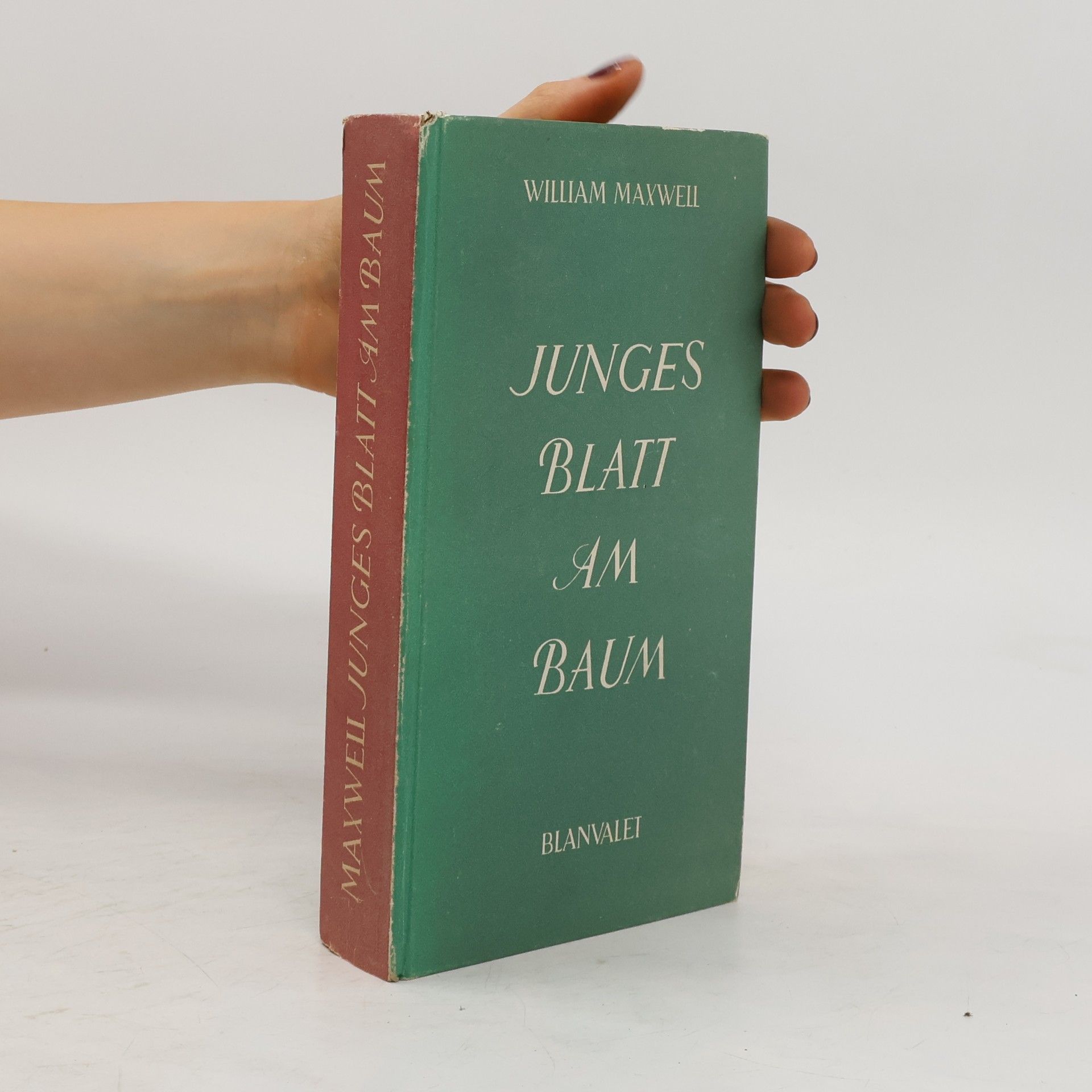 William Maxwell Junges Blatt am Baum
