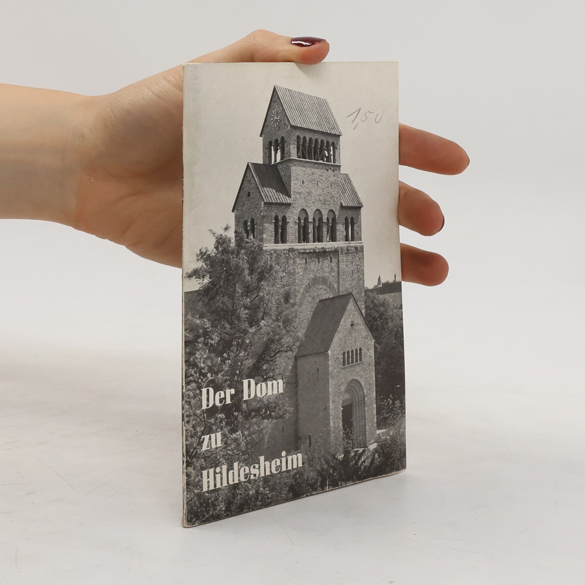 Kolektív autorov Der Dom zu Hildesheim