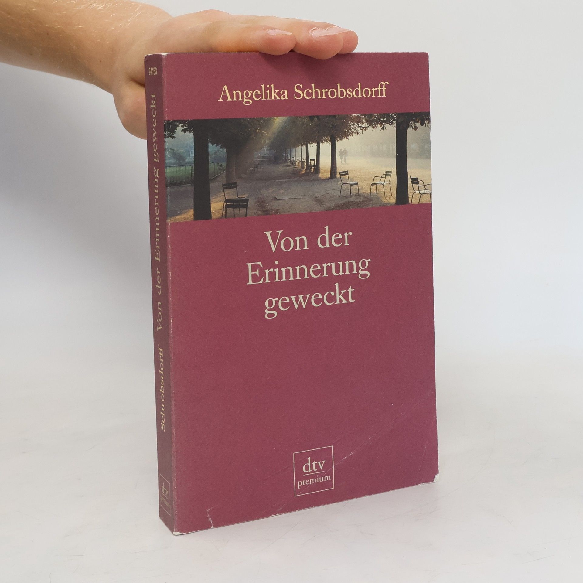 Angelika Schrobsdorff Von der Erinnerung geweckt