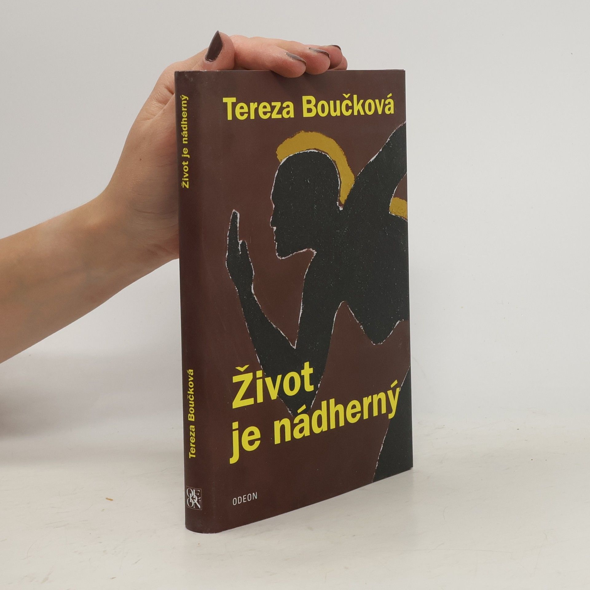 Život je nádherný