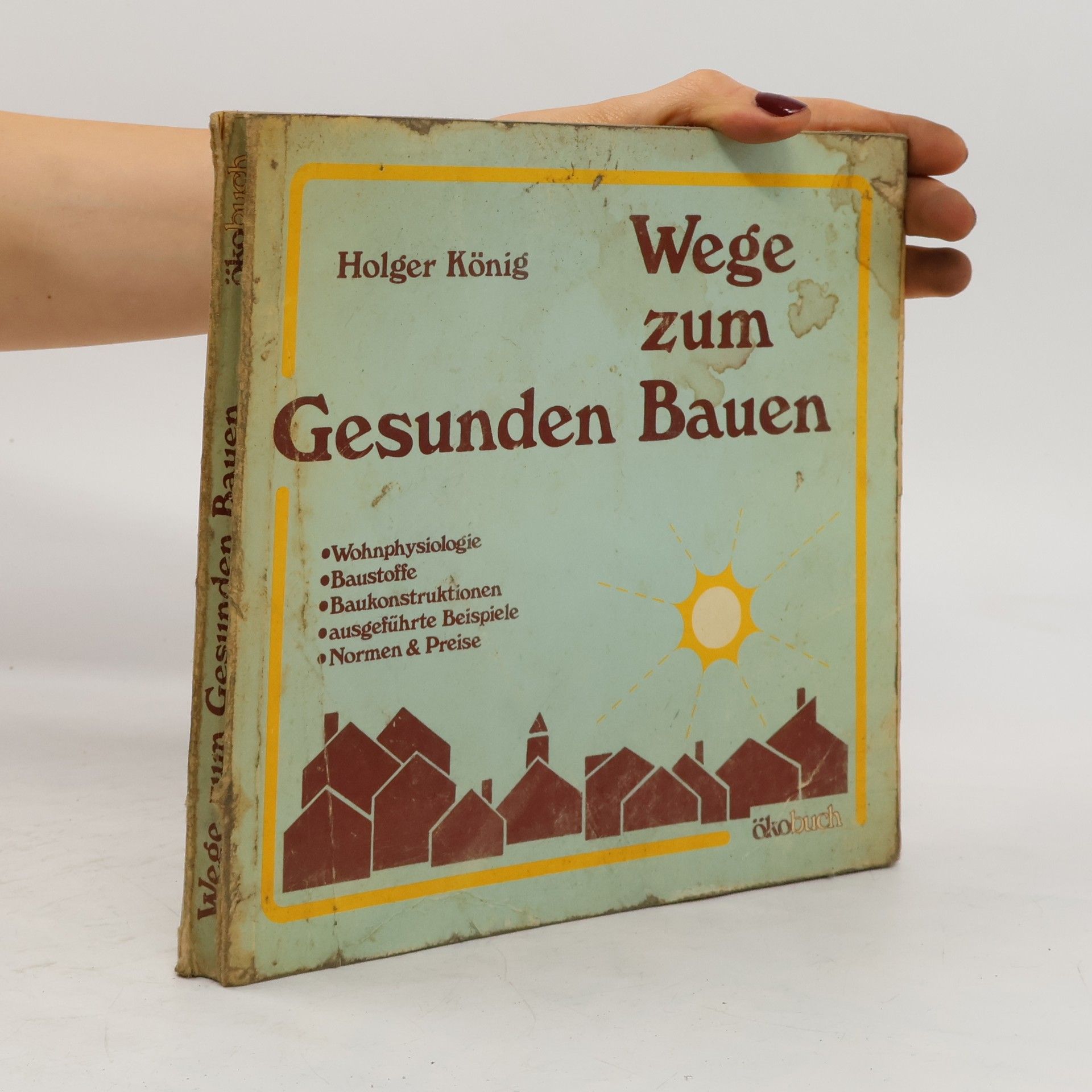 Holger König Wege zum gesunden Bauen