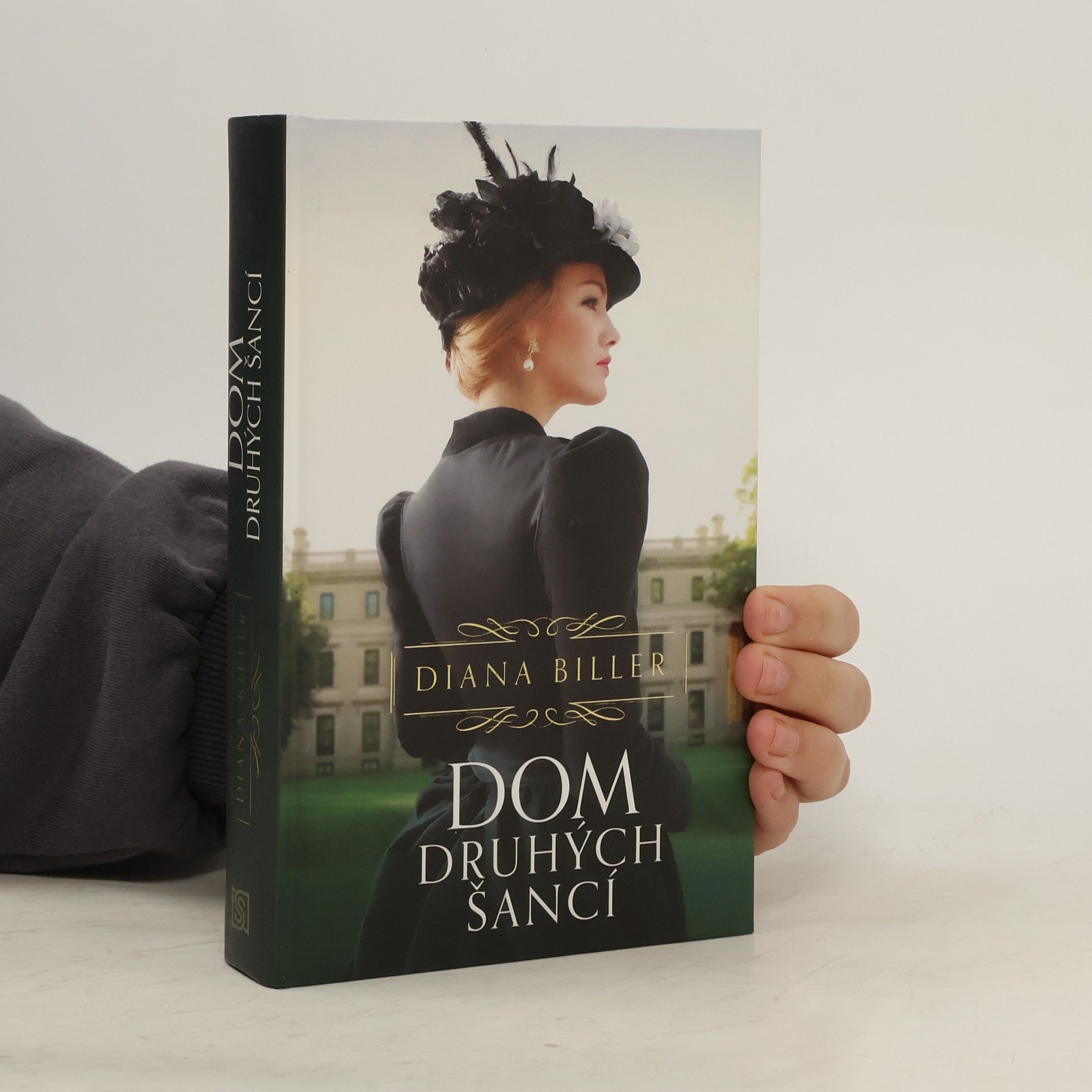 Diana Biller Dom druhých šancí