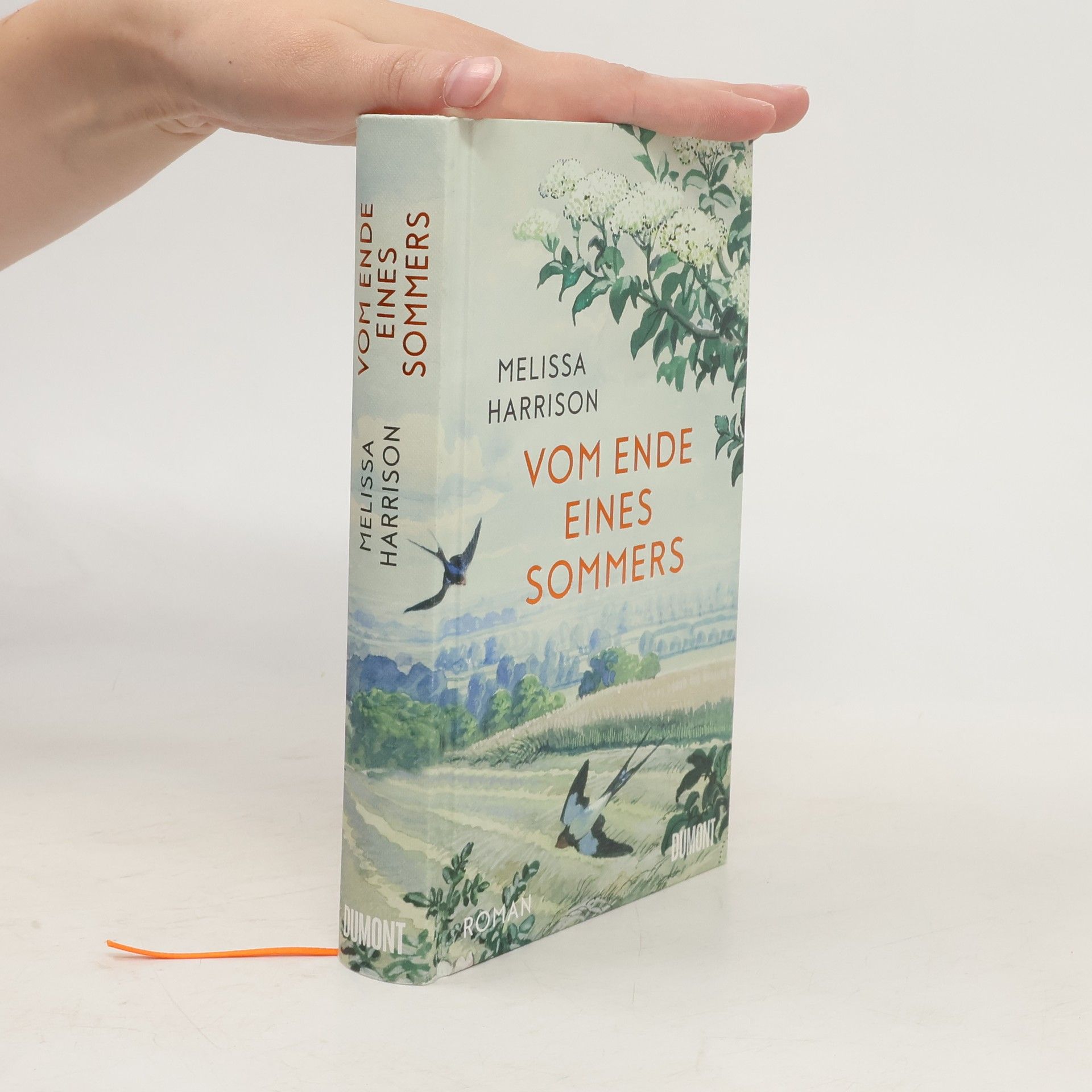 Melissa Harrison Vom Ende eines Sommers