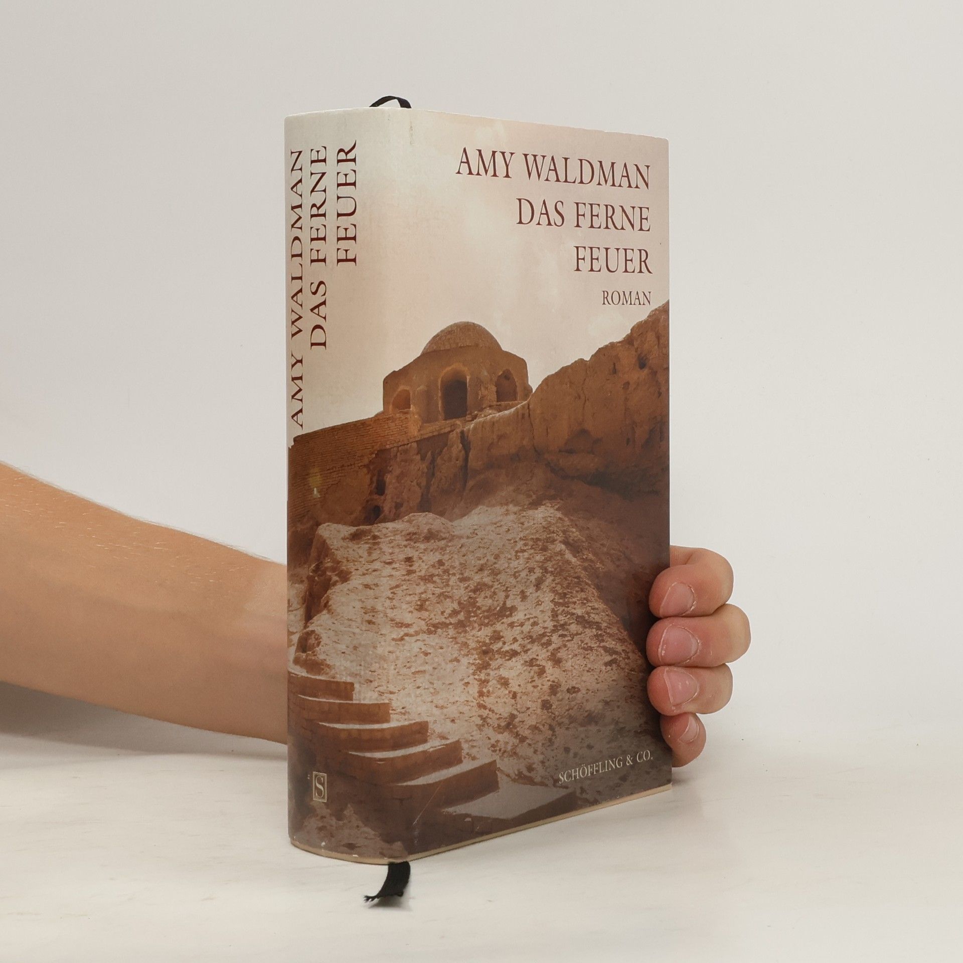 Amy Waldman Das ferne Feuer