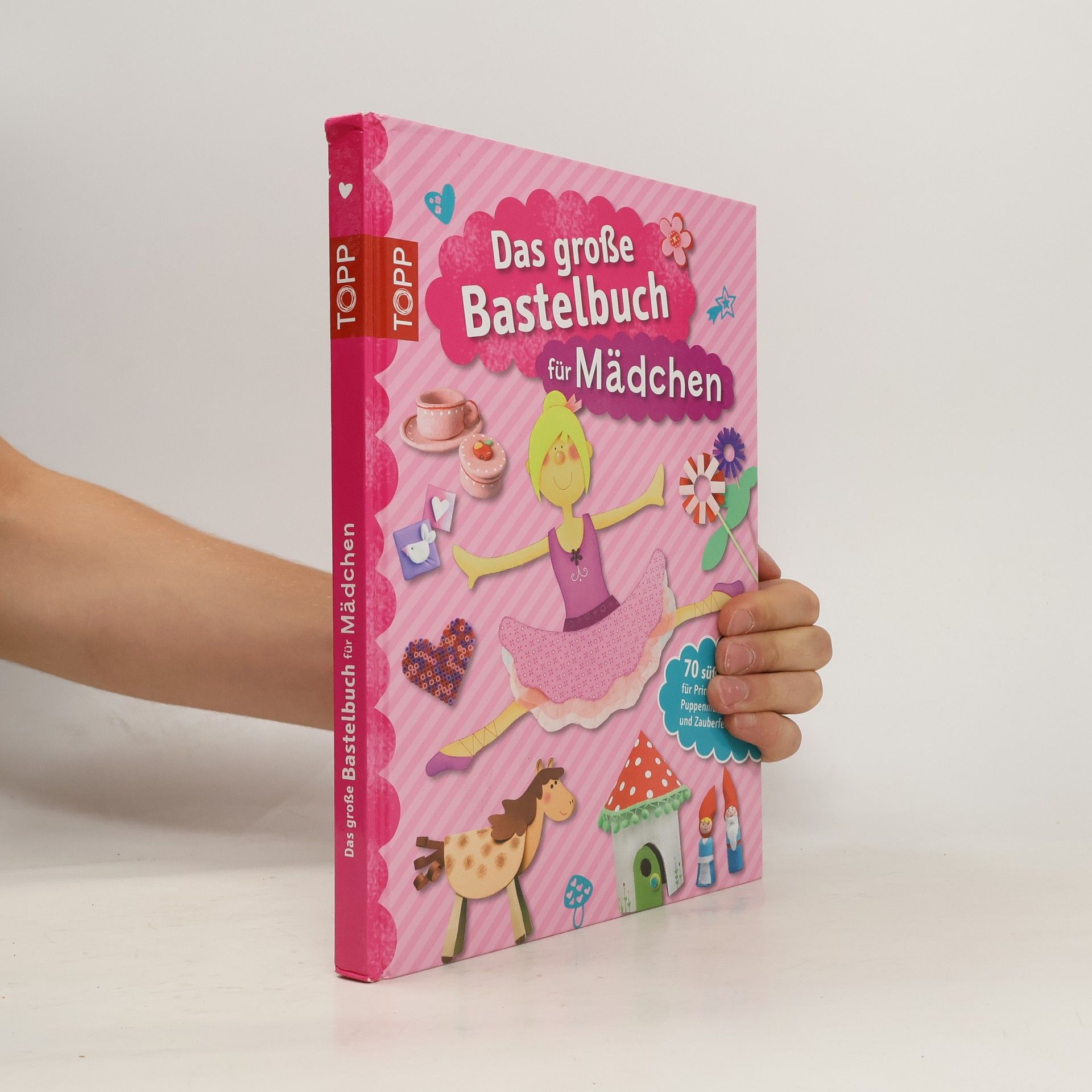 Auteurscollectief Das große Bastelbuch für Mädchen