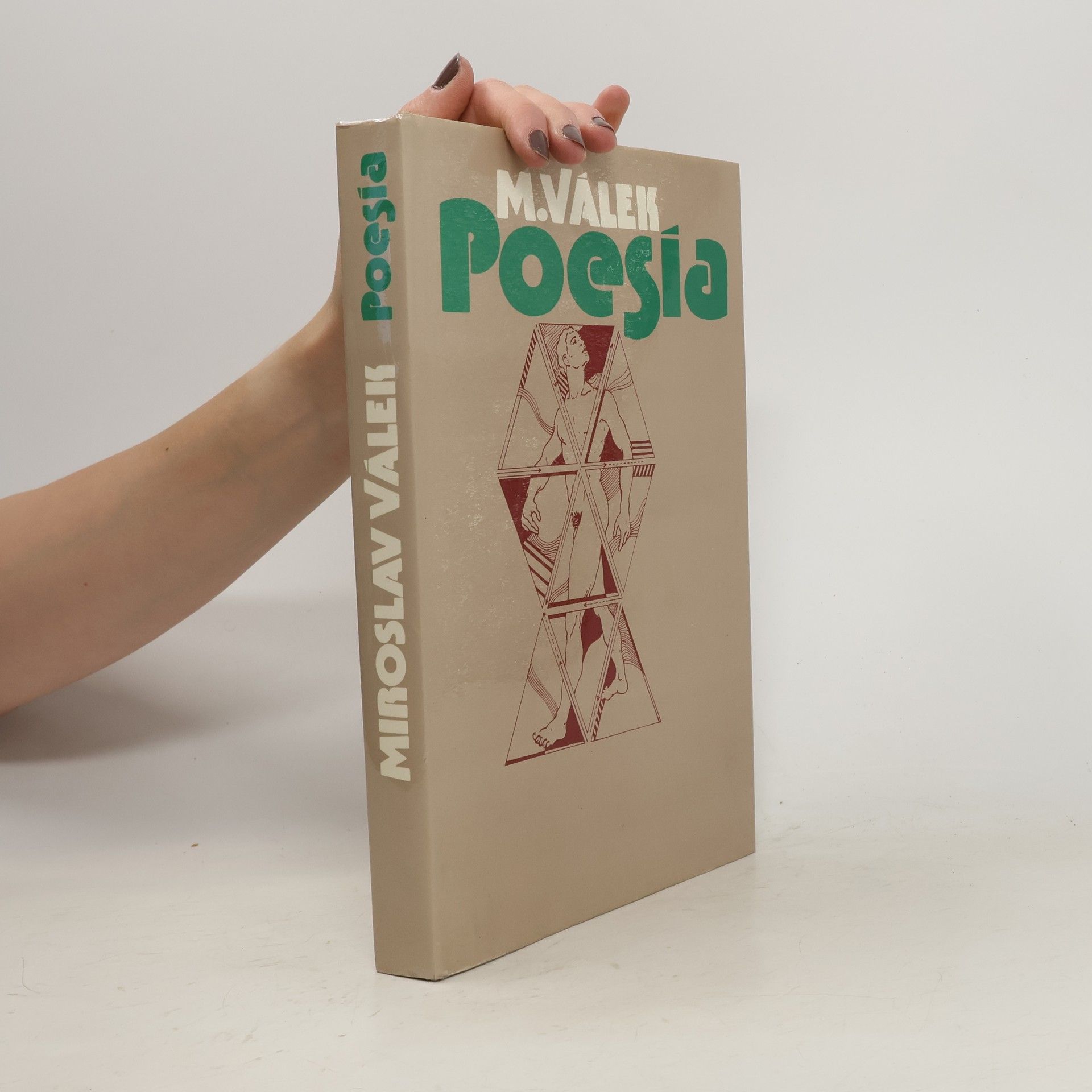 Miroslav Válek Poesía