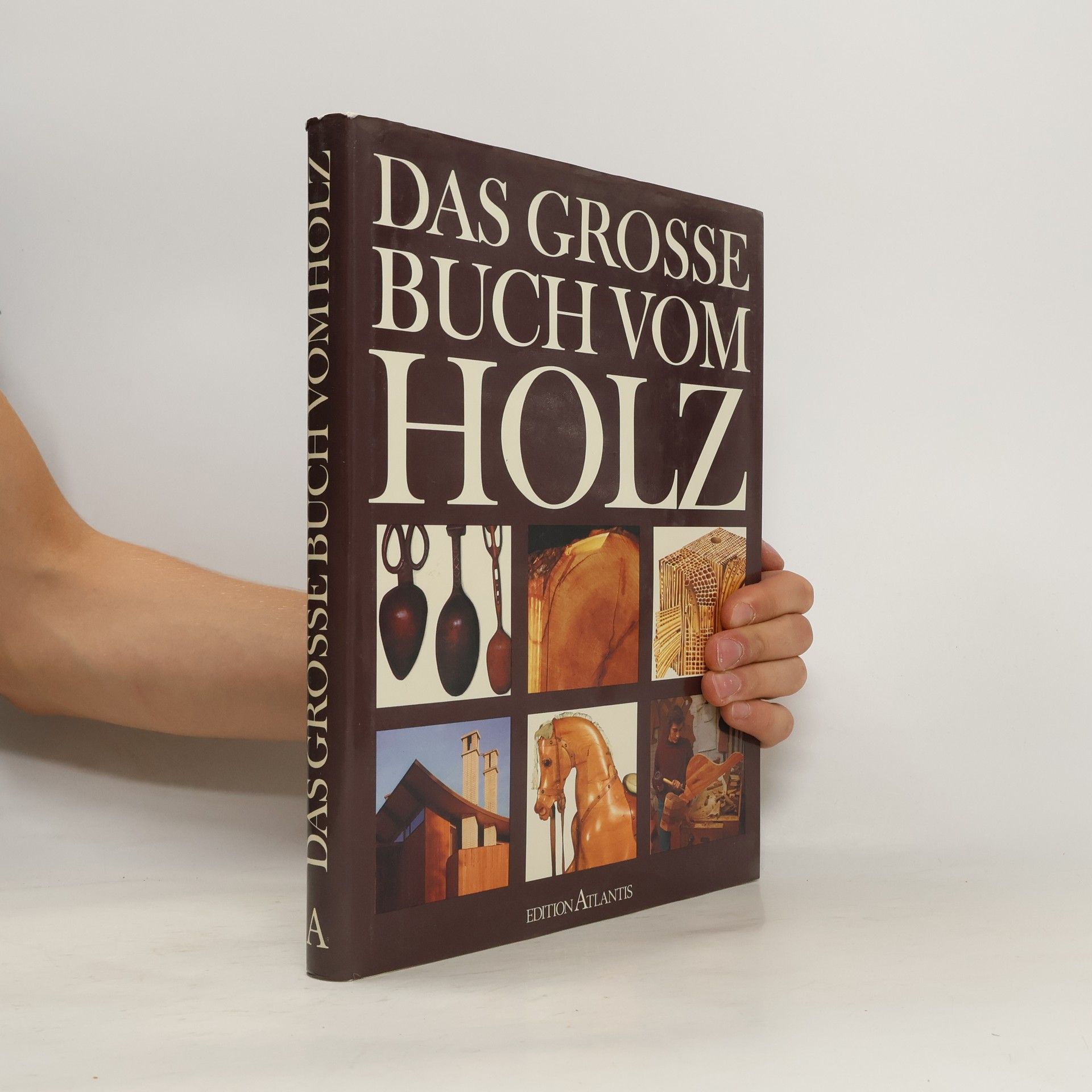 Autorenkollektiv Das grosse Buch vom Holz