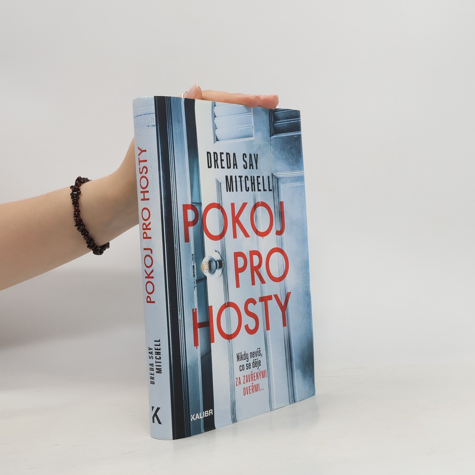 Dreda Say Mitchell Pokoj pro hosty