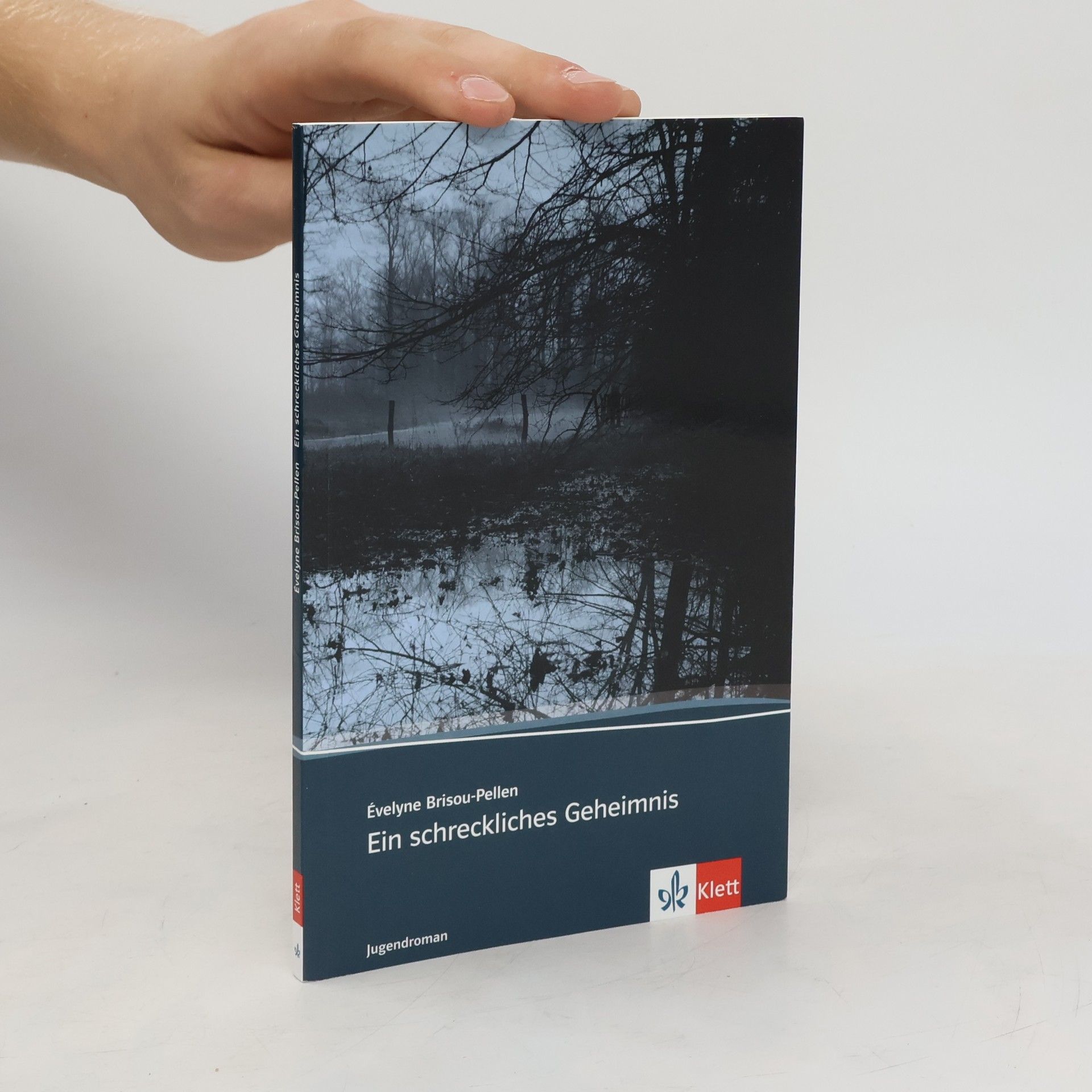 Evelyne Brisou-Pellen Ein schreckliches Geheimnis meiner Großeltern
