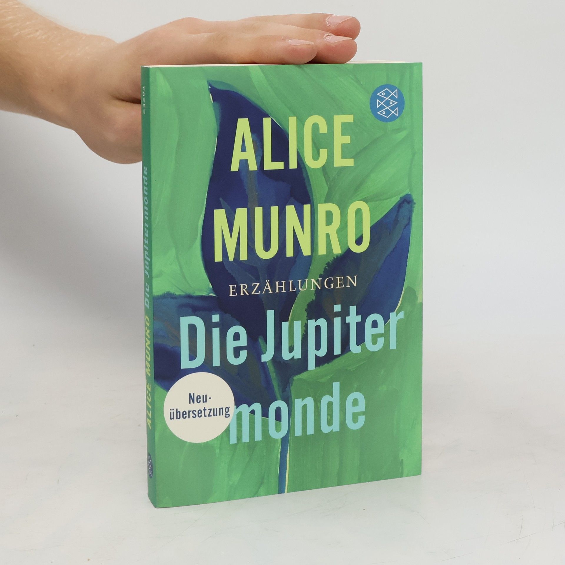 Alice Munro Die Jupitermonde