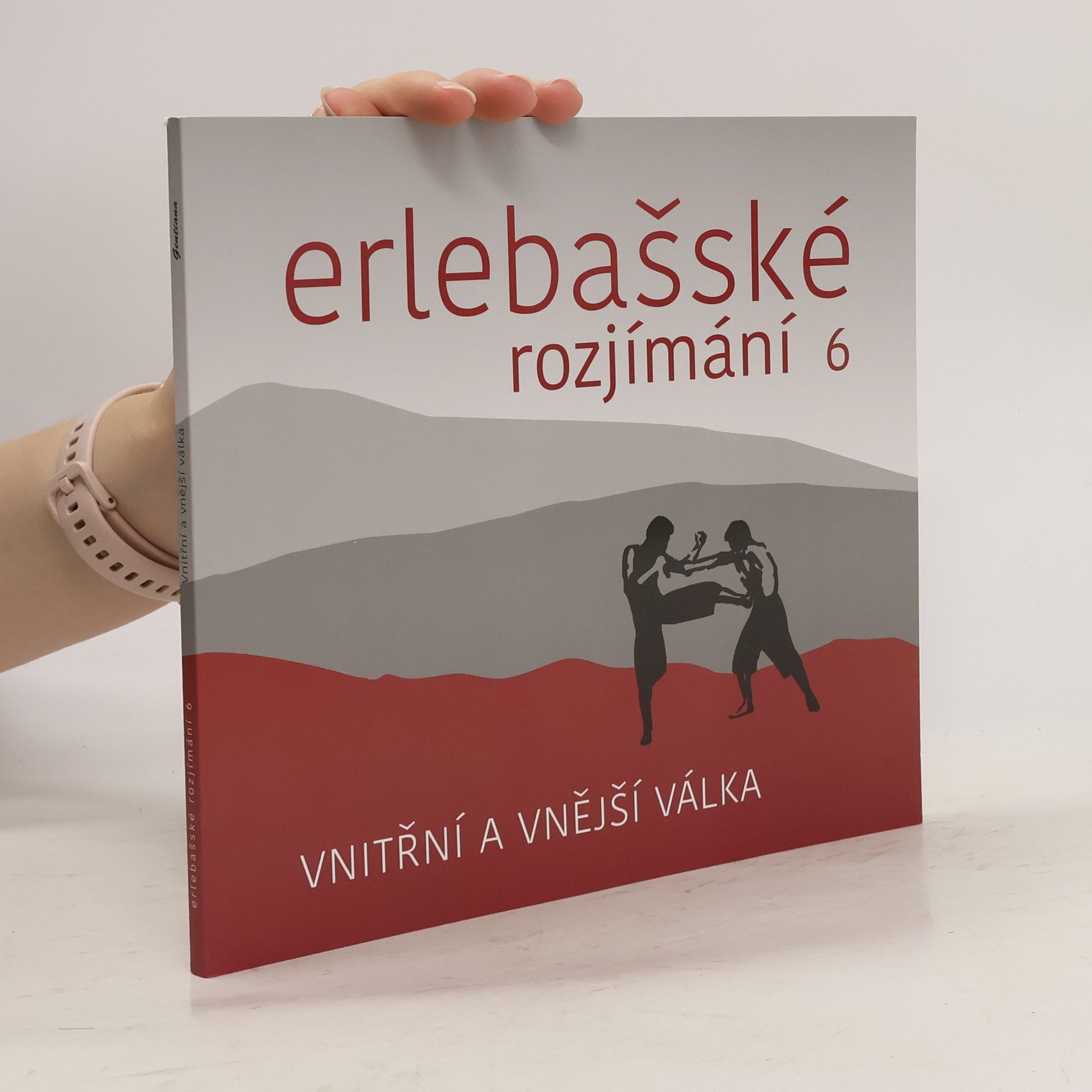 Kolektiv autorů Erlebašské rozjímání 6